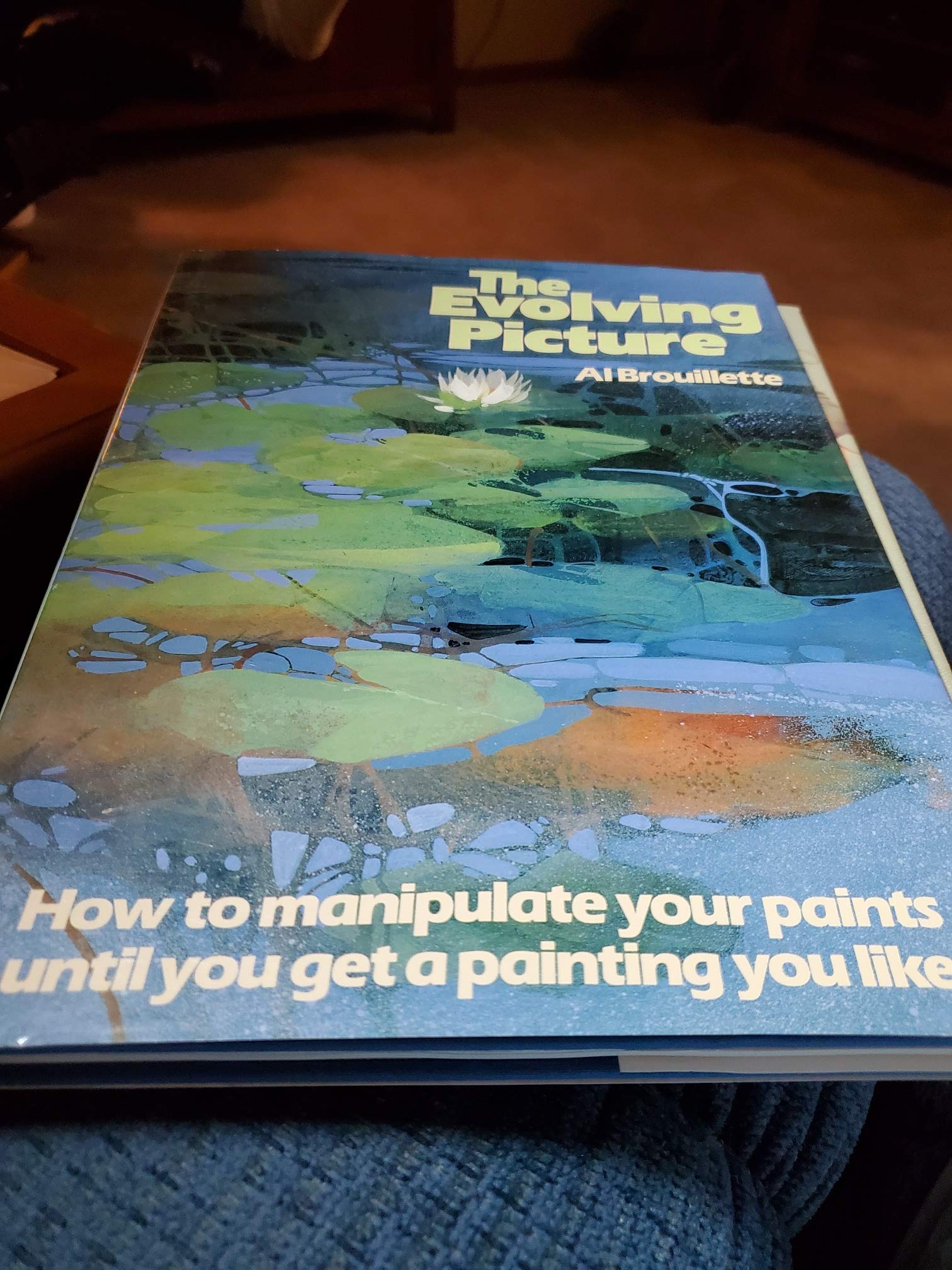 The Evolving Picture: How to Manipulate Your Paints Until you Get a Painting You Like,Used