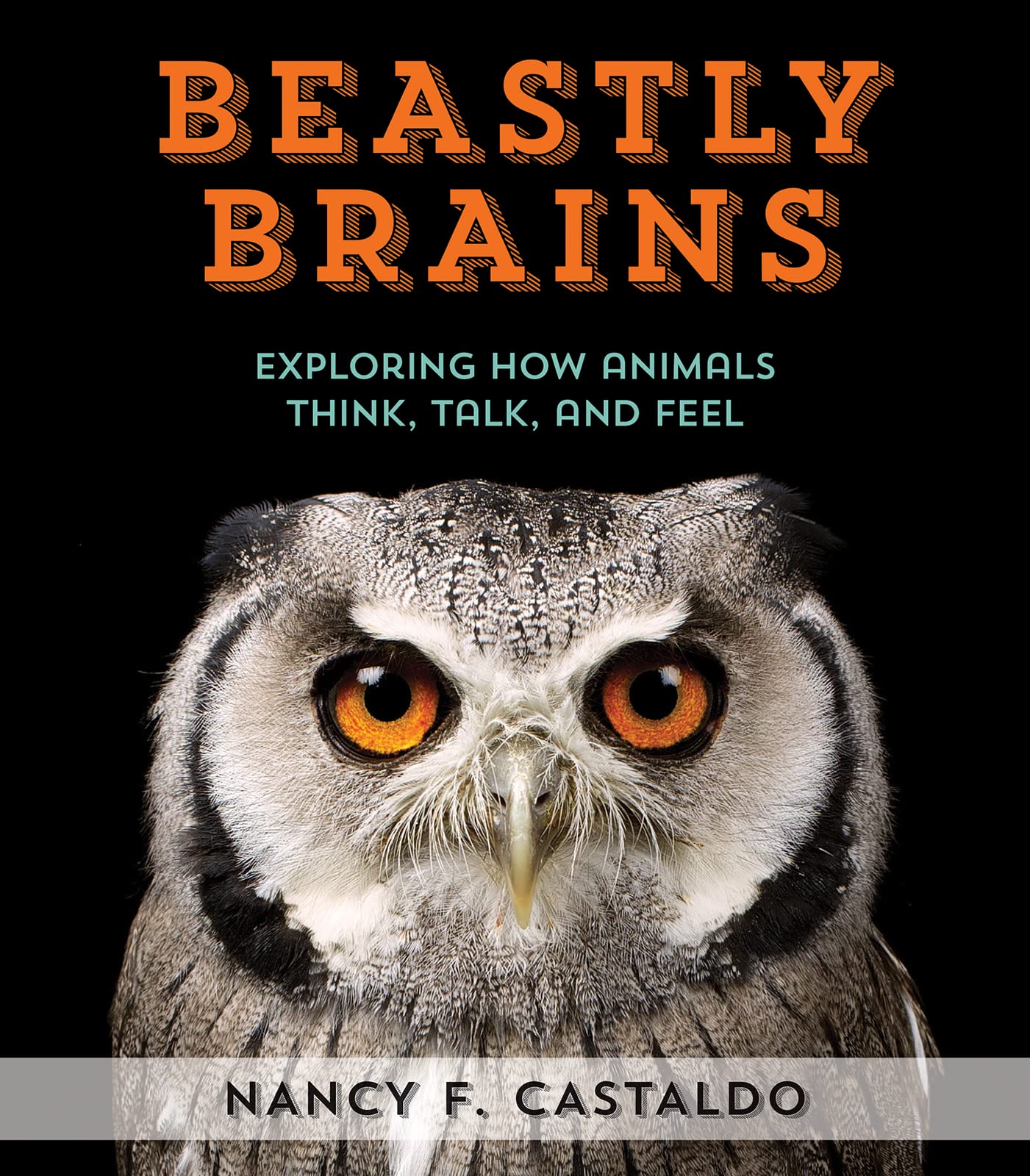 Beastly Brains: Exploring How Animals Think, Talk, And Feel,Used