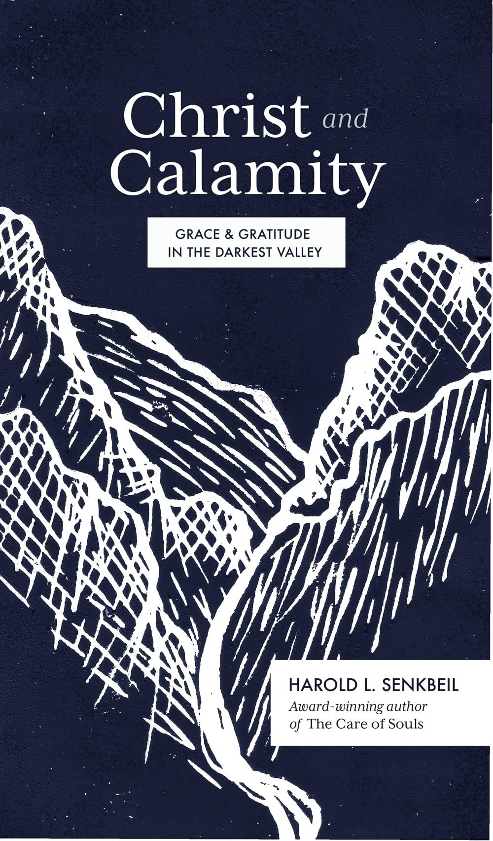 Christ and Calamity: Grace and Gratitude in the Darkest Valley,New