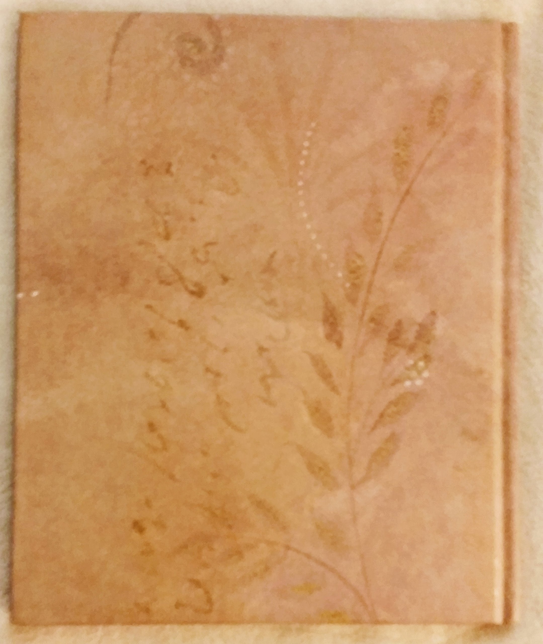 Shakespeare's Romeo and Juliet,Used
