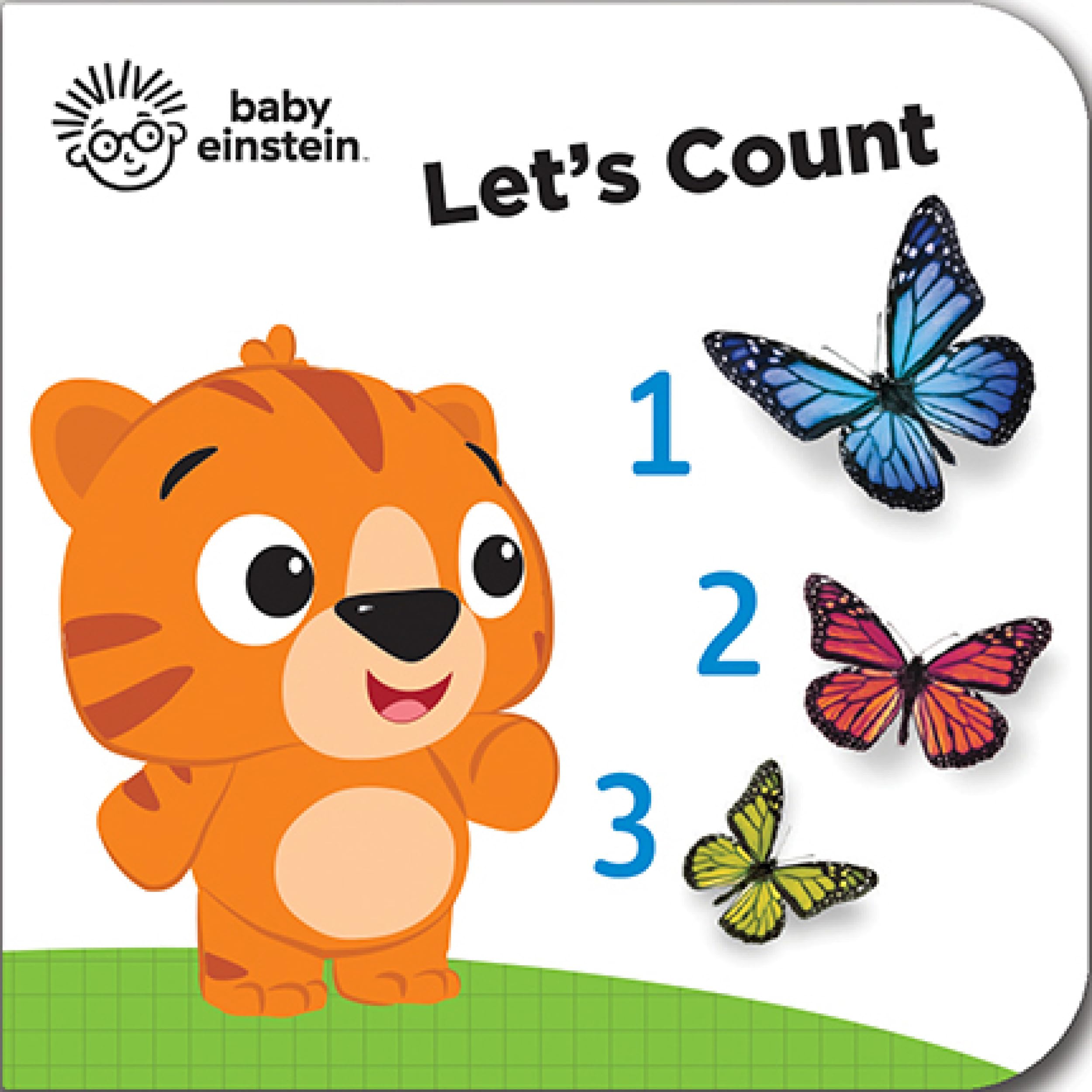 Baby Einstein  My First Library Board Book Block 12Book Set  First Words, Alphabet, Numbers, and More!  PI Kids,Used