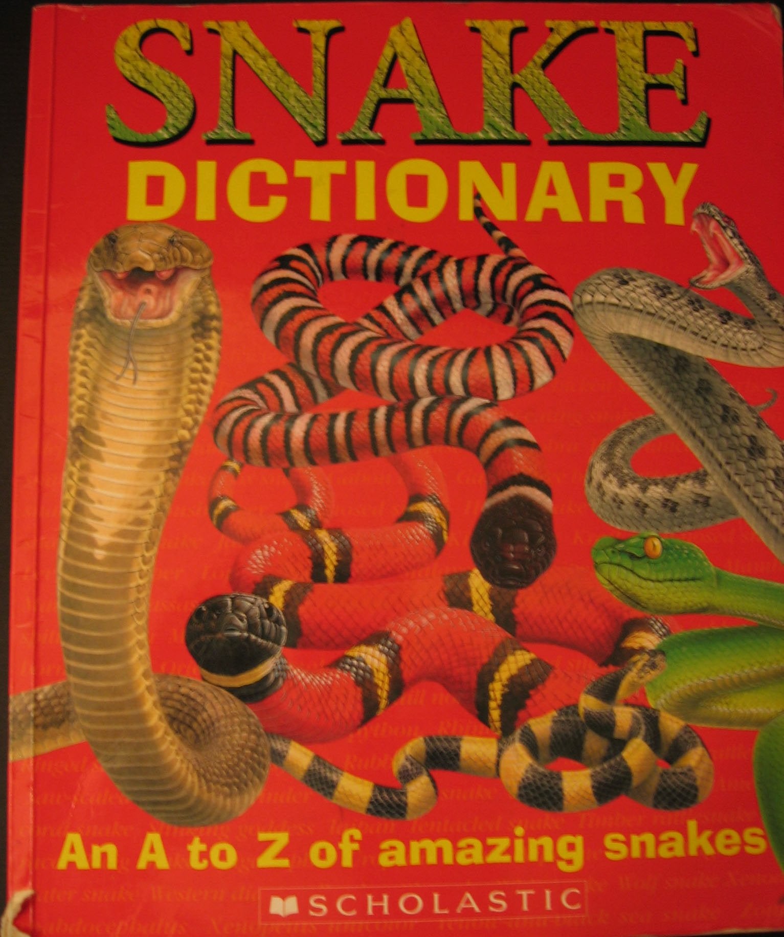 Snake Dictionary: An A to Z of Amazing Snakes,Used