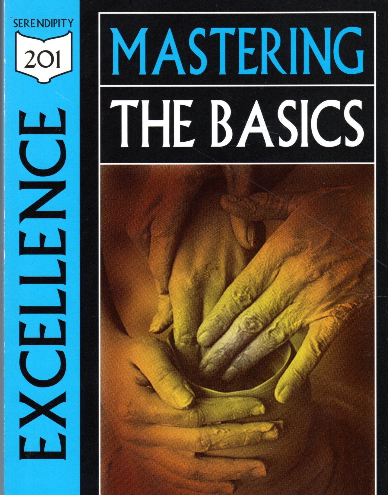 Excellence: Mastering the Basics, Studies from Romans (201 Deeper Bible Study),Used