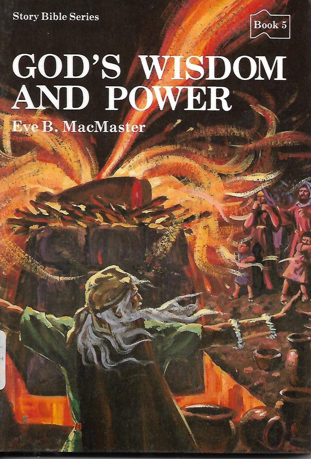 God's Wisdom and Power: Stories of God and His People : 1 and 2 Chronicles, Proverbs, and the Song of Songs (Story Bible Series),Used