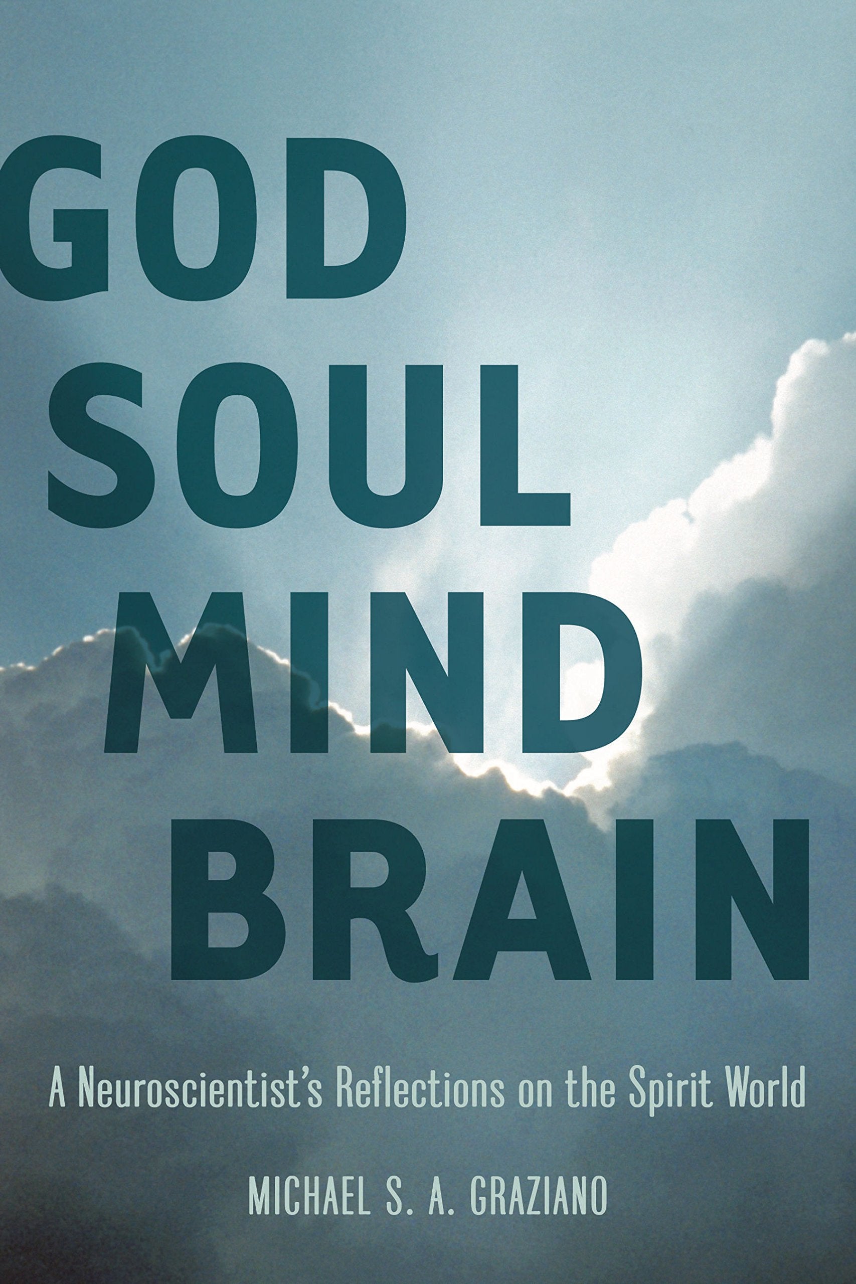 God Soul Mind Brain: A Neuroscientist's Reflections on the Spirit World (LeapSci),Used