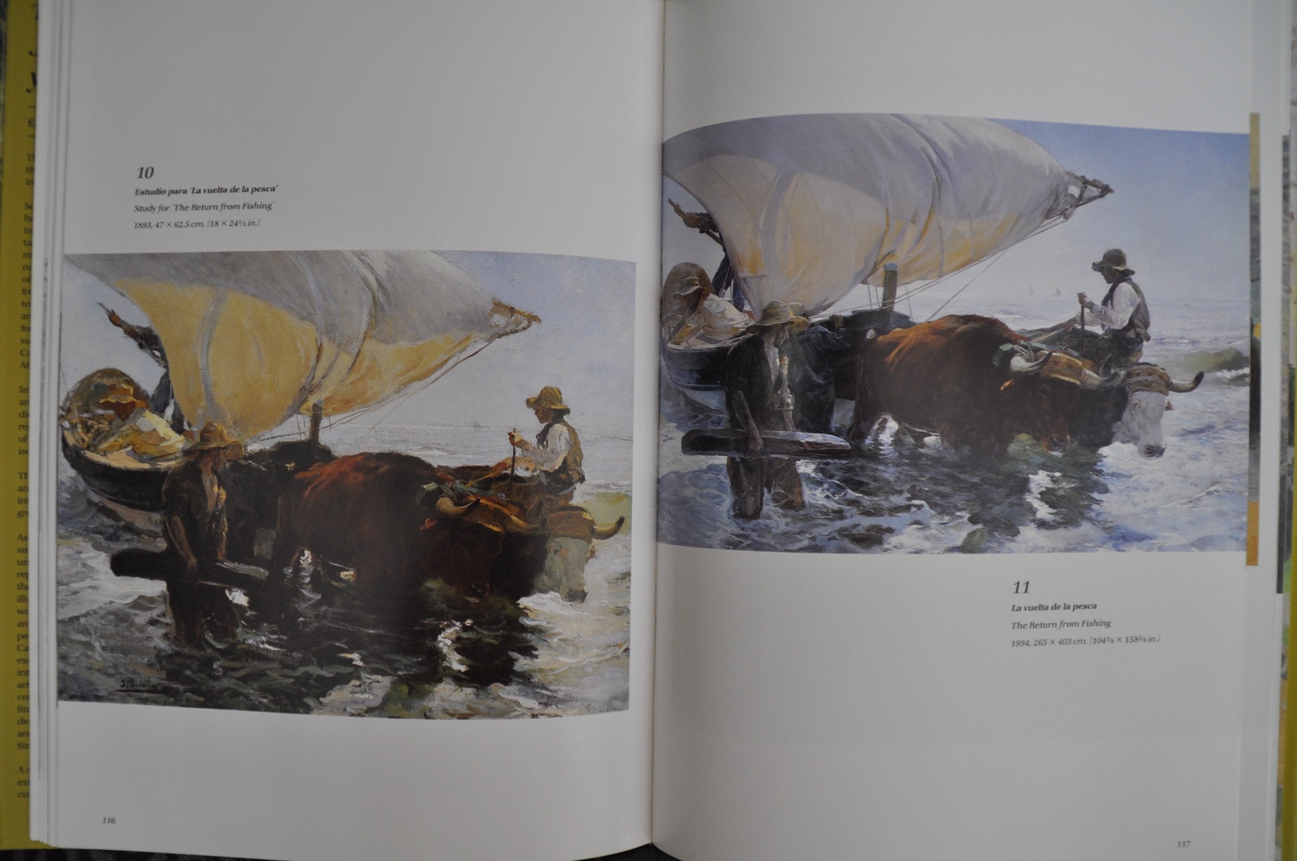 The Painter: Joaquin Sorolla Y Bastida,Used