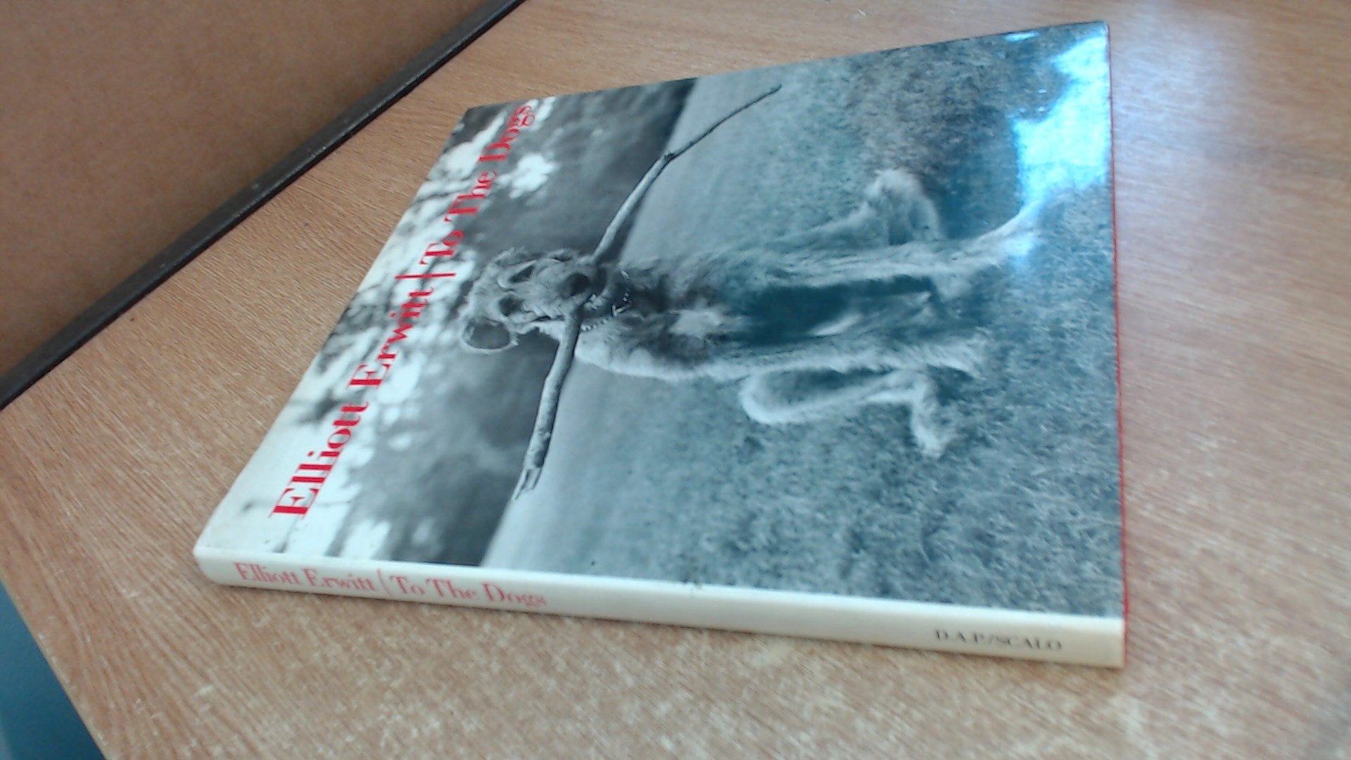 Elliott Erwitt: To the Dogs,Used