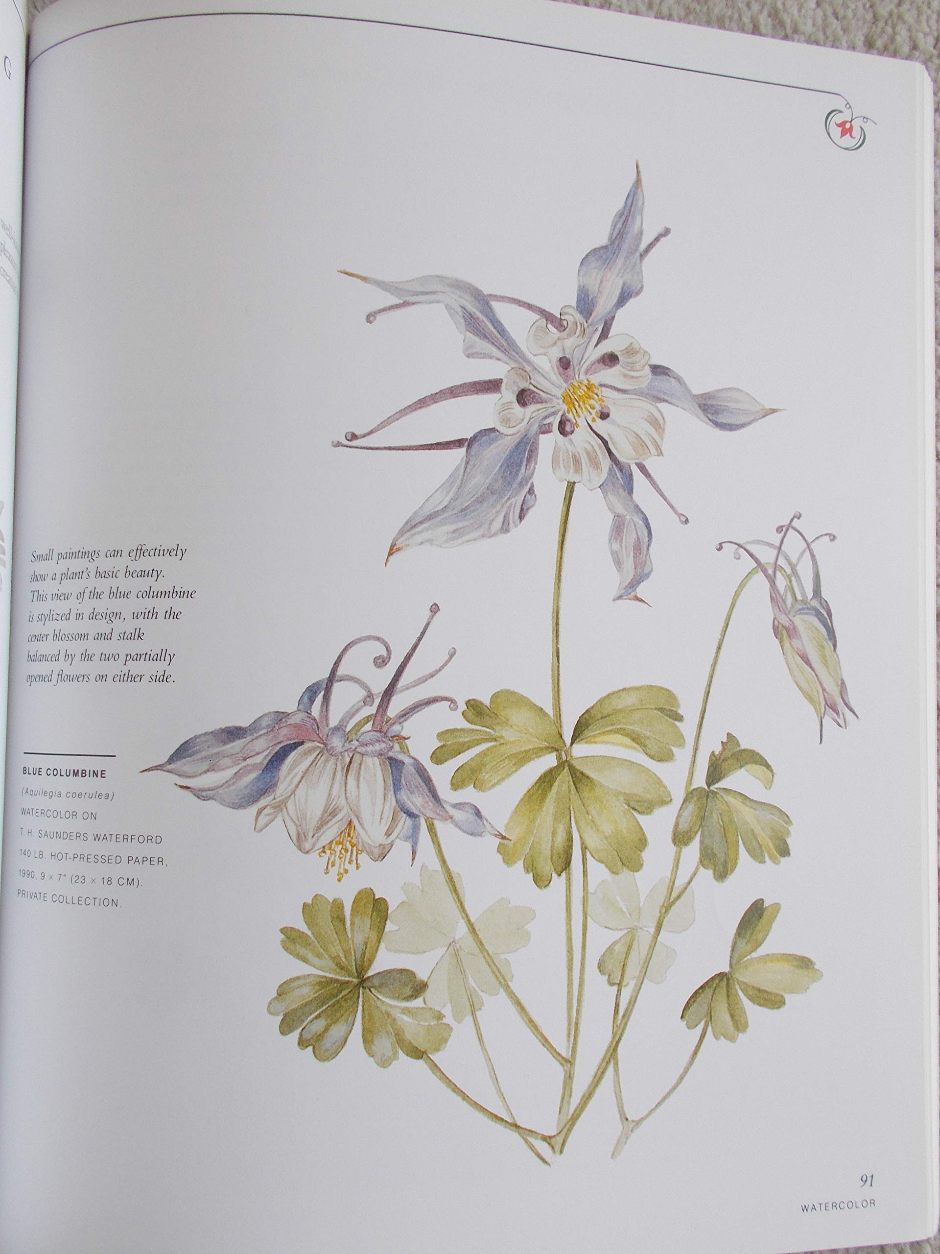 Botanical Illustration in Watercolor,New