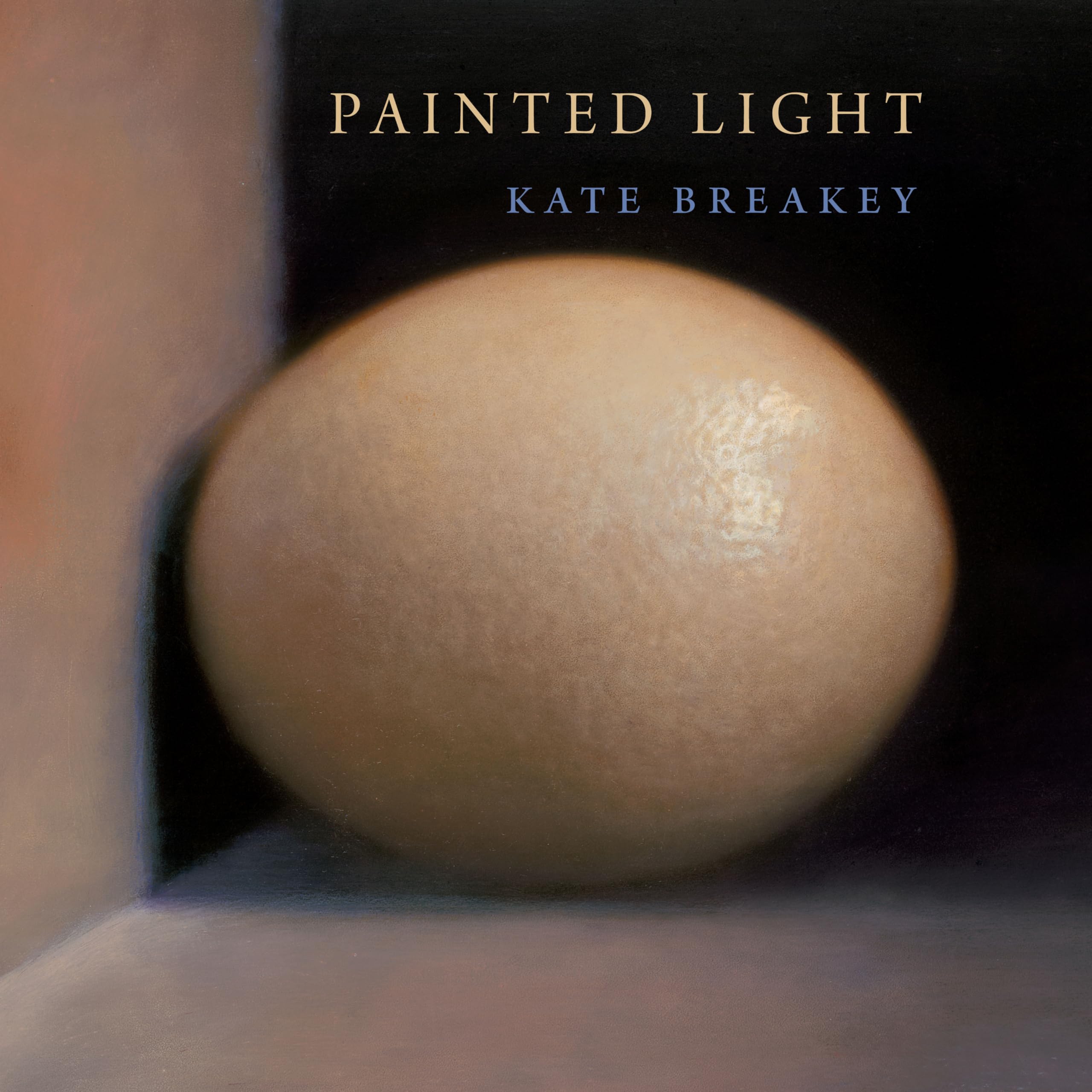 Painted Light (Southwestern & Mexican Photography Series, The Wittliff Collections at Texas State University),Used