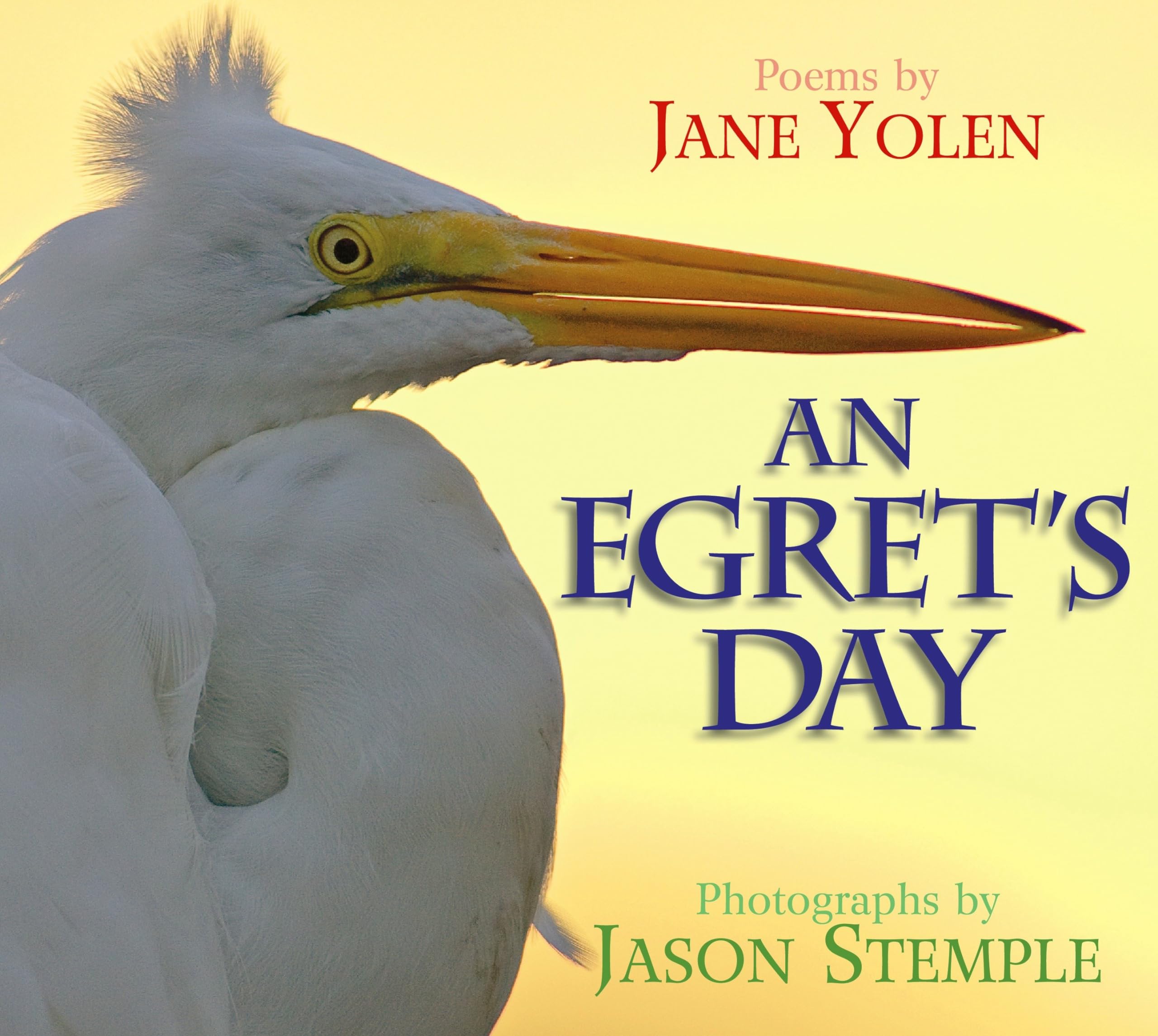 An Egret's Day,Used