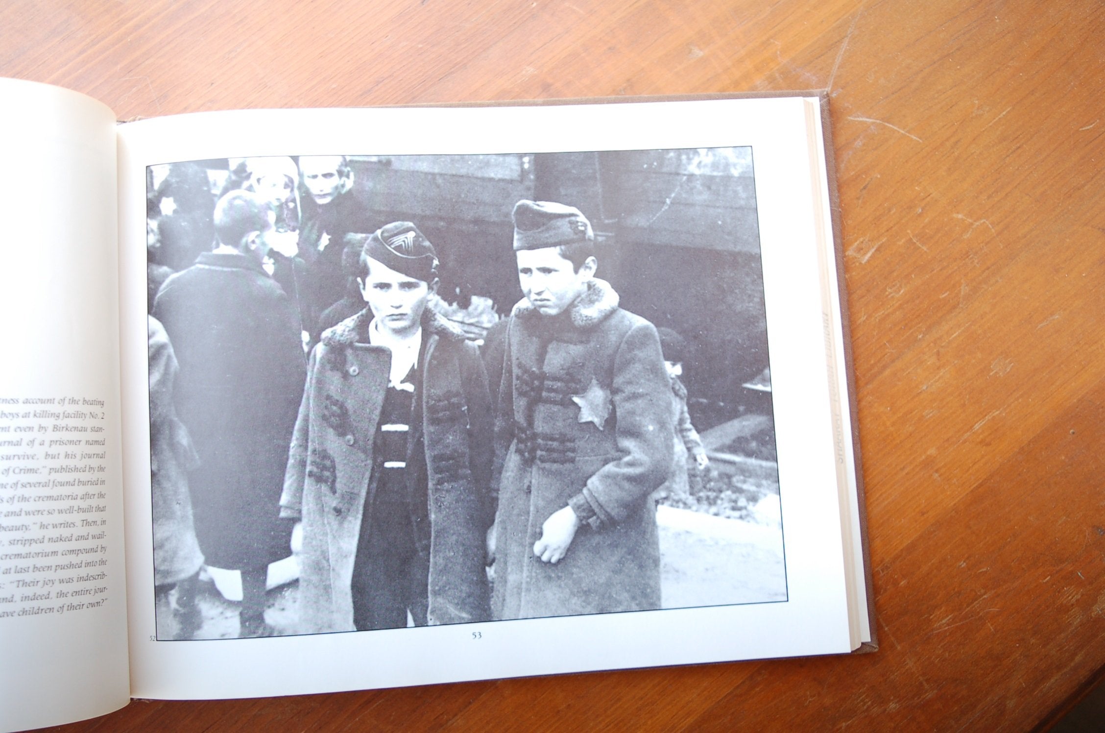 The Auschwitz Album: A Book Based Upon an Album Discovered by a Concentration Camp Survivor, Lili Meier,Used