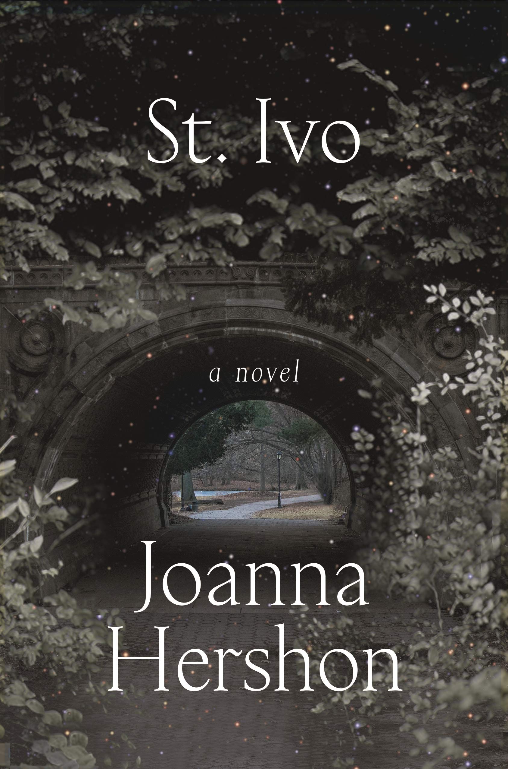St. Ivo: A Novel,Used