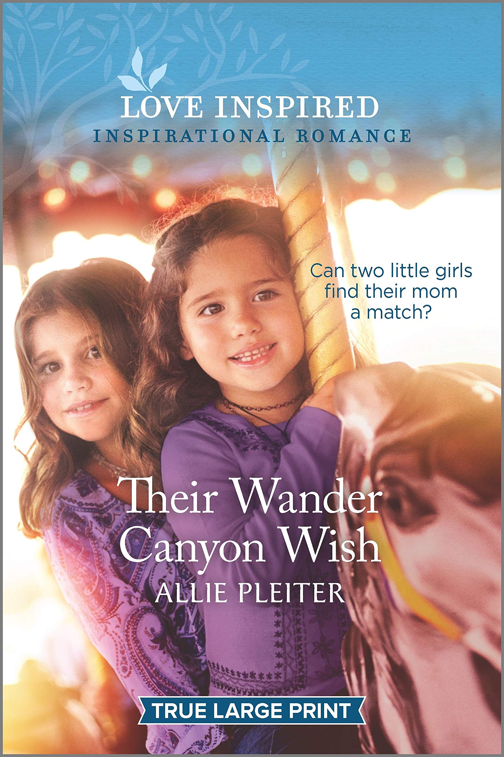 Their Wander Canyon Wish (Wander Canyon, 1),Used