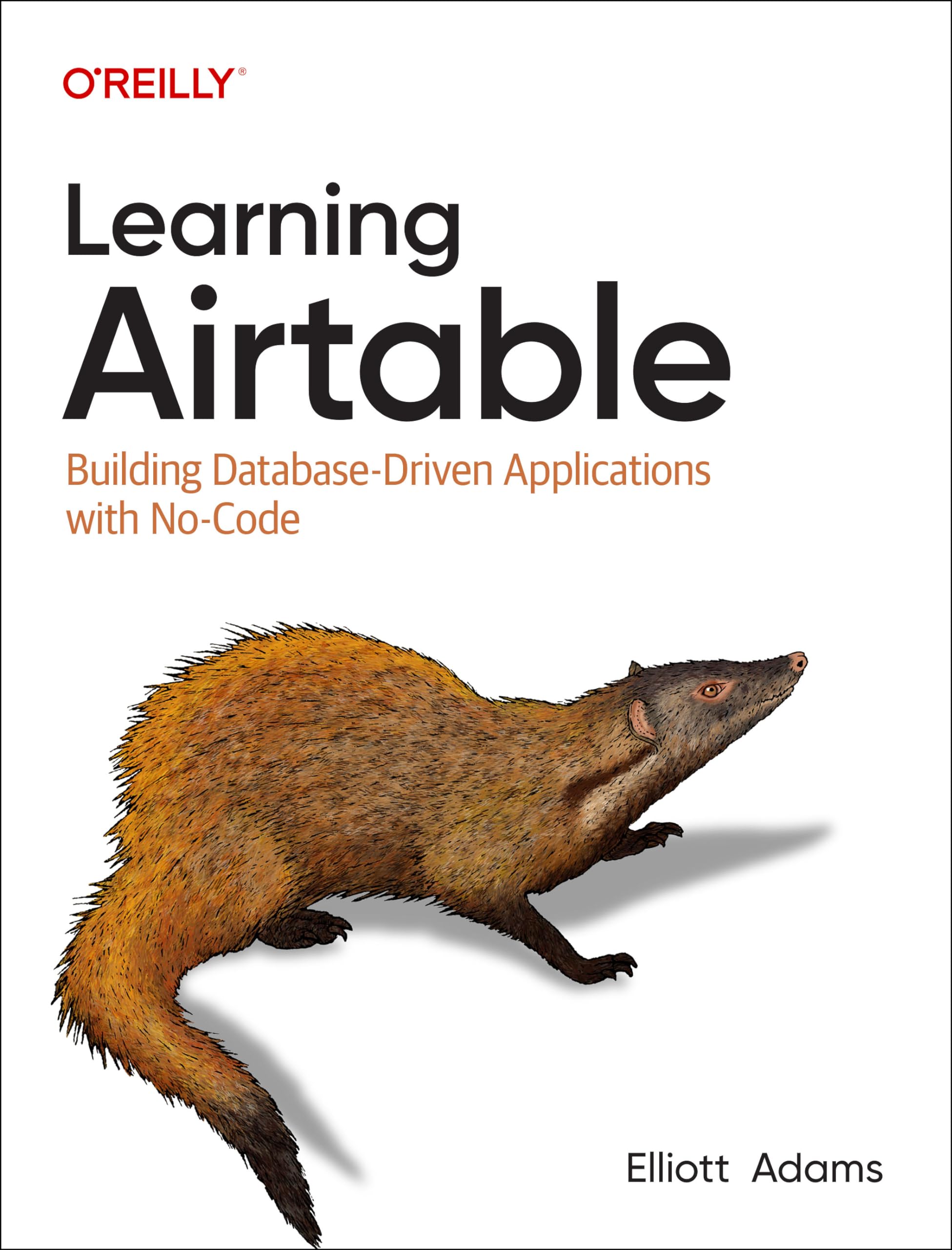 Learning Airtable: Building Databasedriven Applications With Nocode,Used