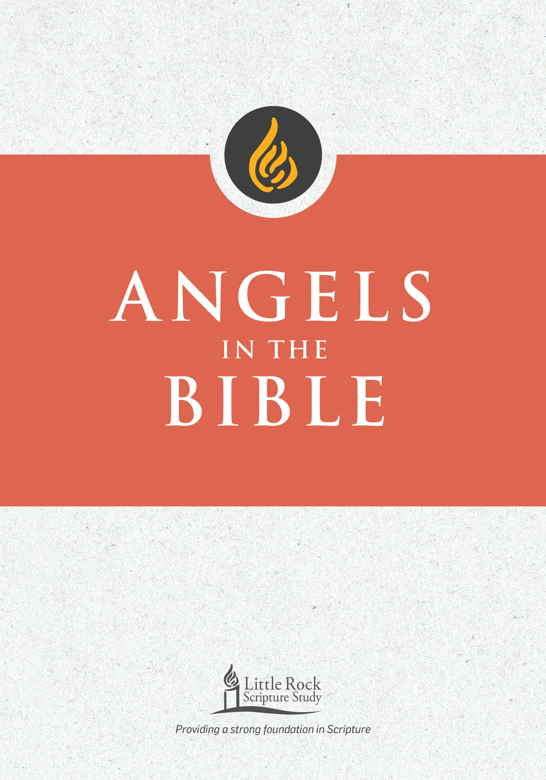 Angels In The Bible (Little Rock Scripture Study),Used