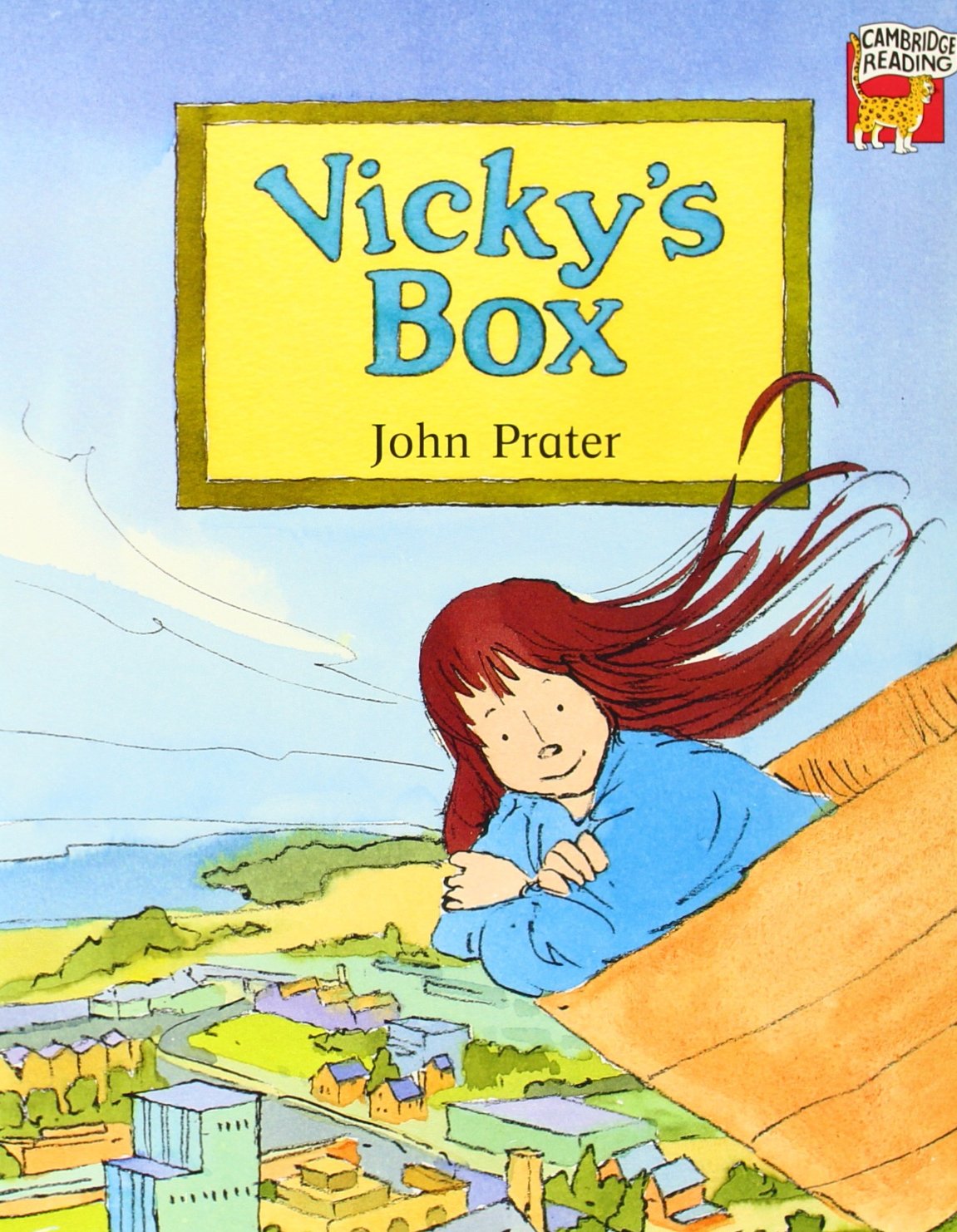 Vicky's Box (Cambridge Reading),Used