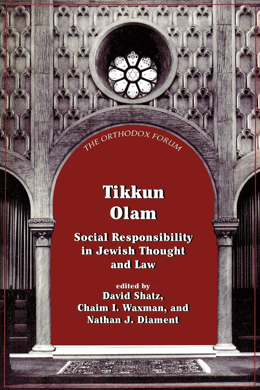 Tikkun Olam: Social Responsibility in Jewish Thought and Law (The Orthodox Forum Series),Used