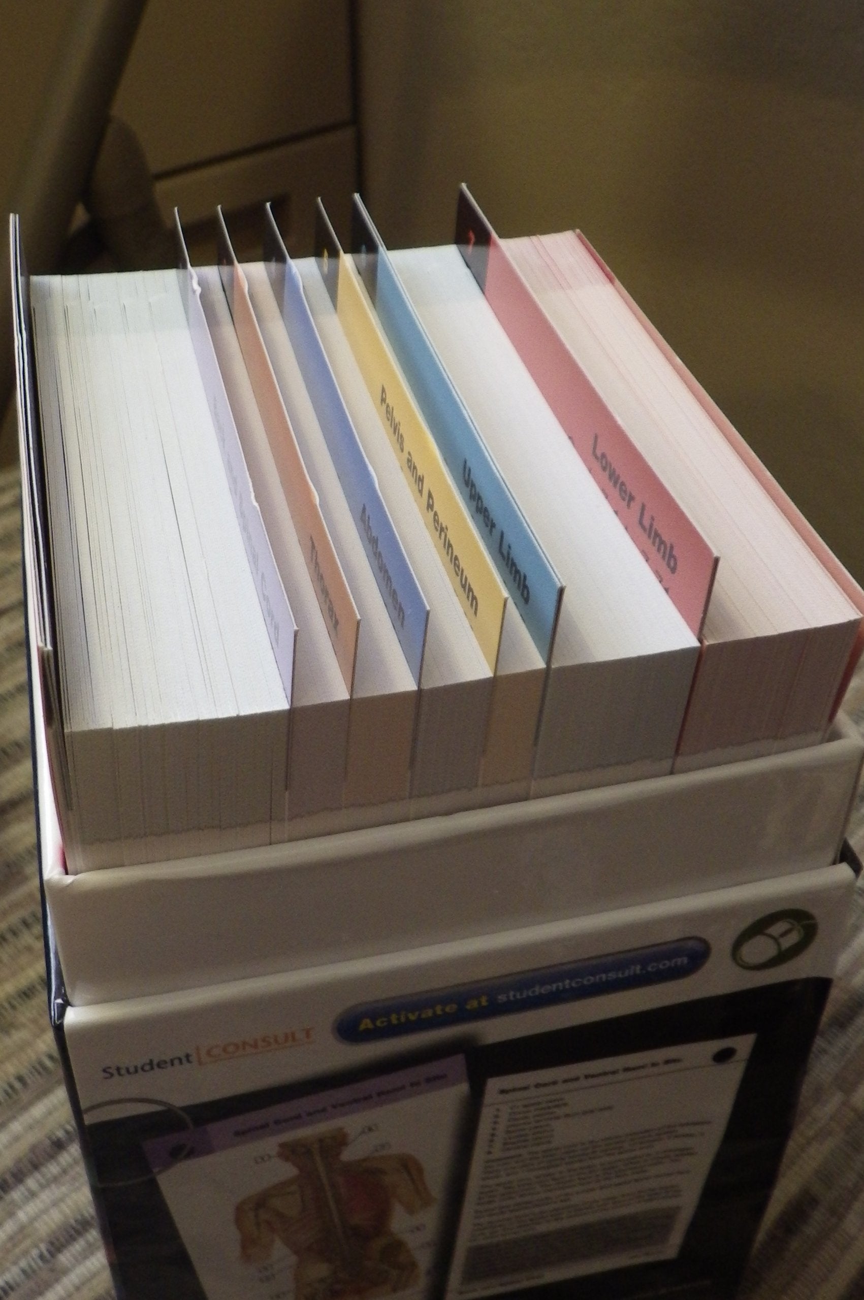 Netter's Anatomy Flash Cards: with Online Student Consult Access (Netter Basic Science),Used