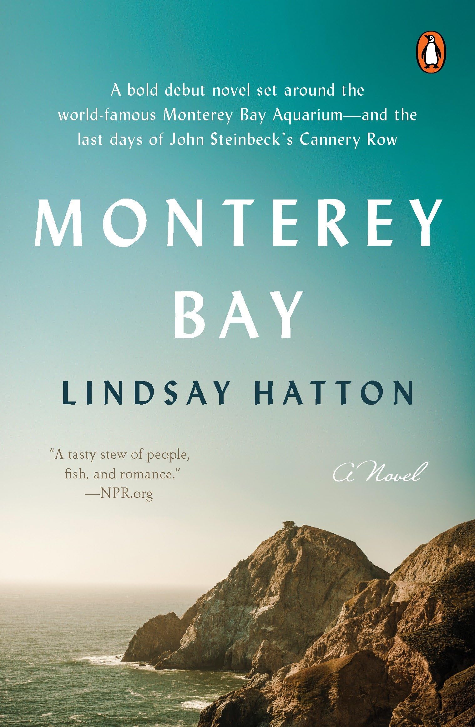 Monterey Bay: A Novel,Used