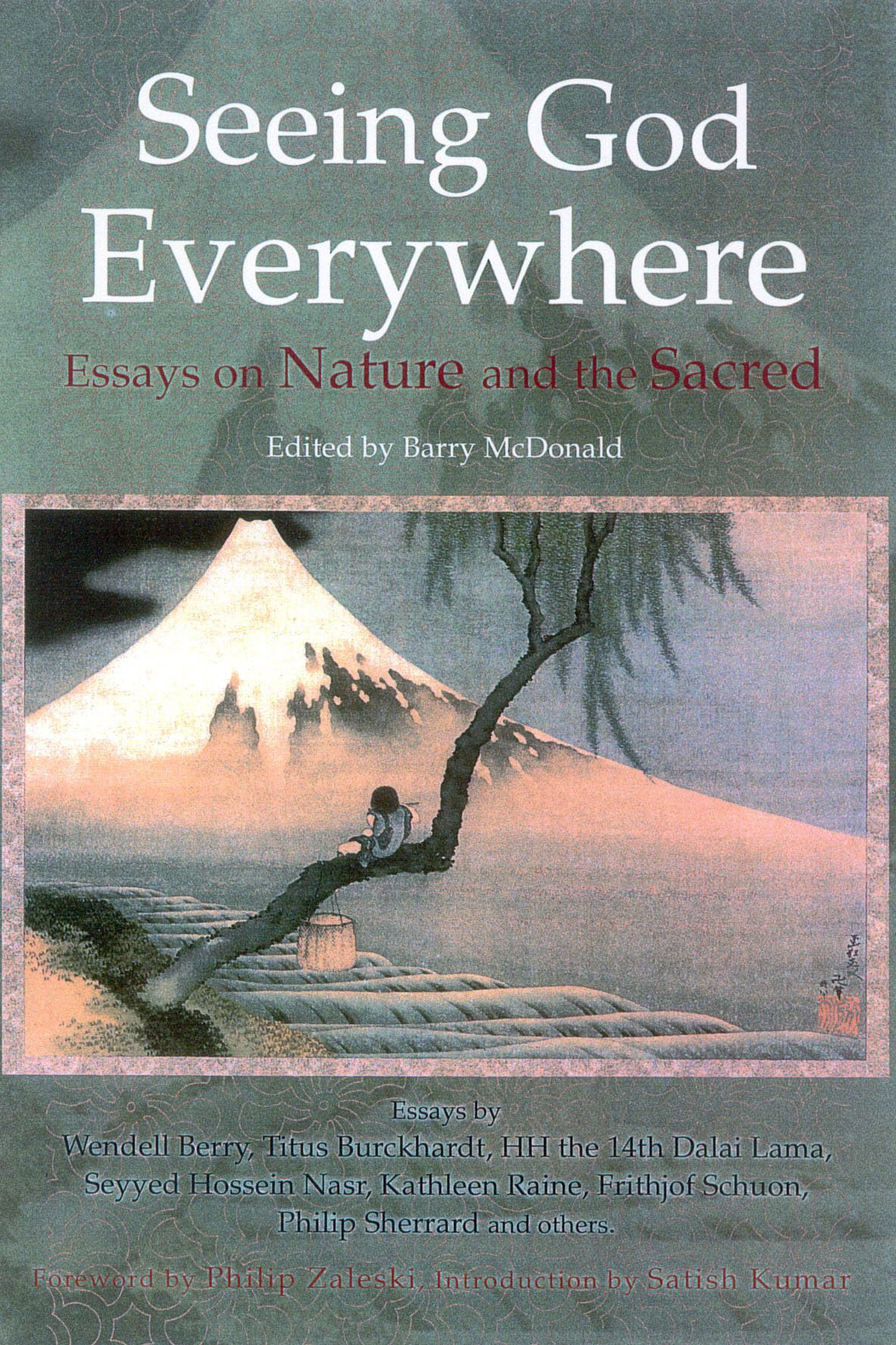 Seeing God Everywhere: Essays on Nature and the Sacred (Perennial Philosophy),Used
