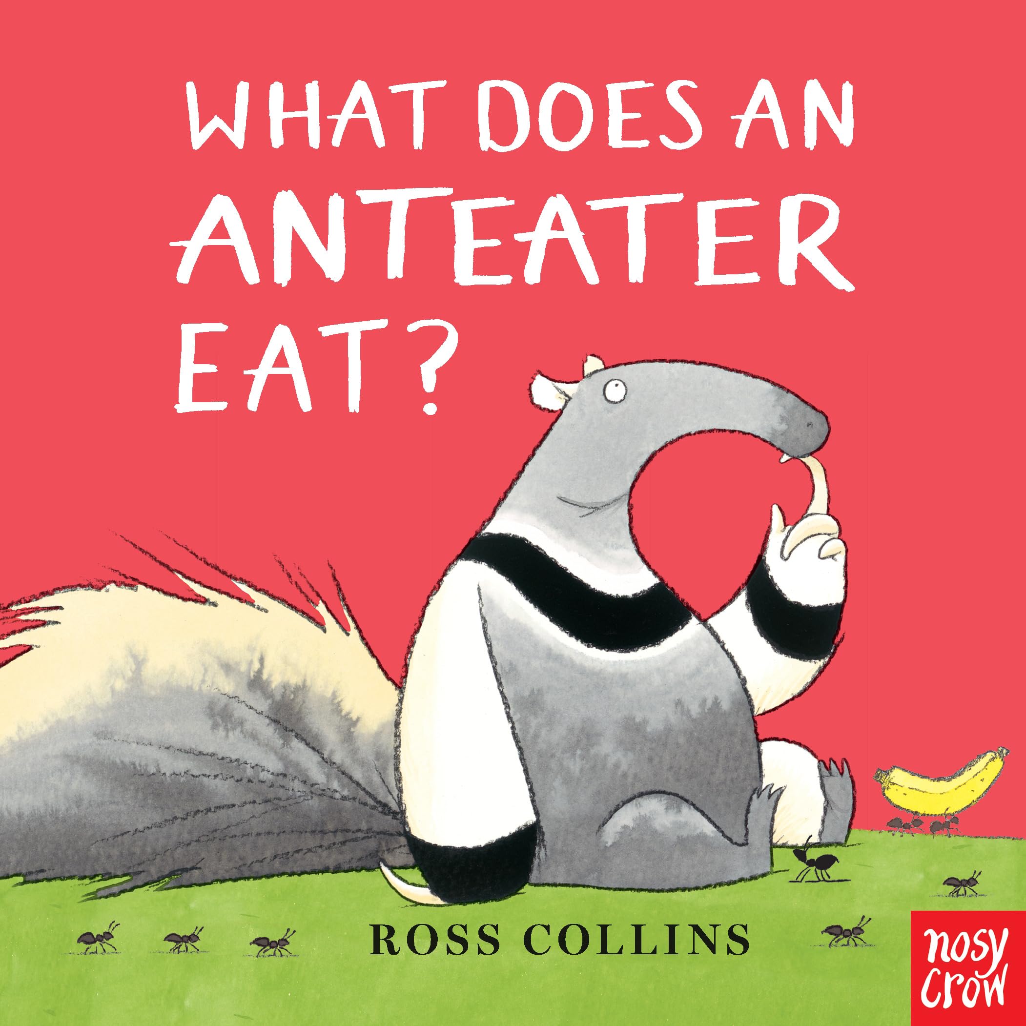 What Does an Anteater Eat?,Used