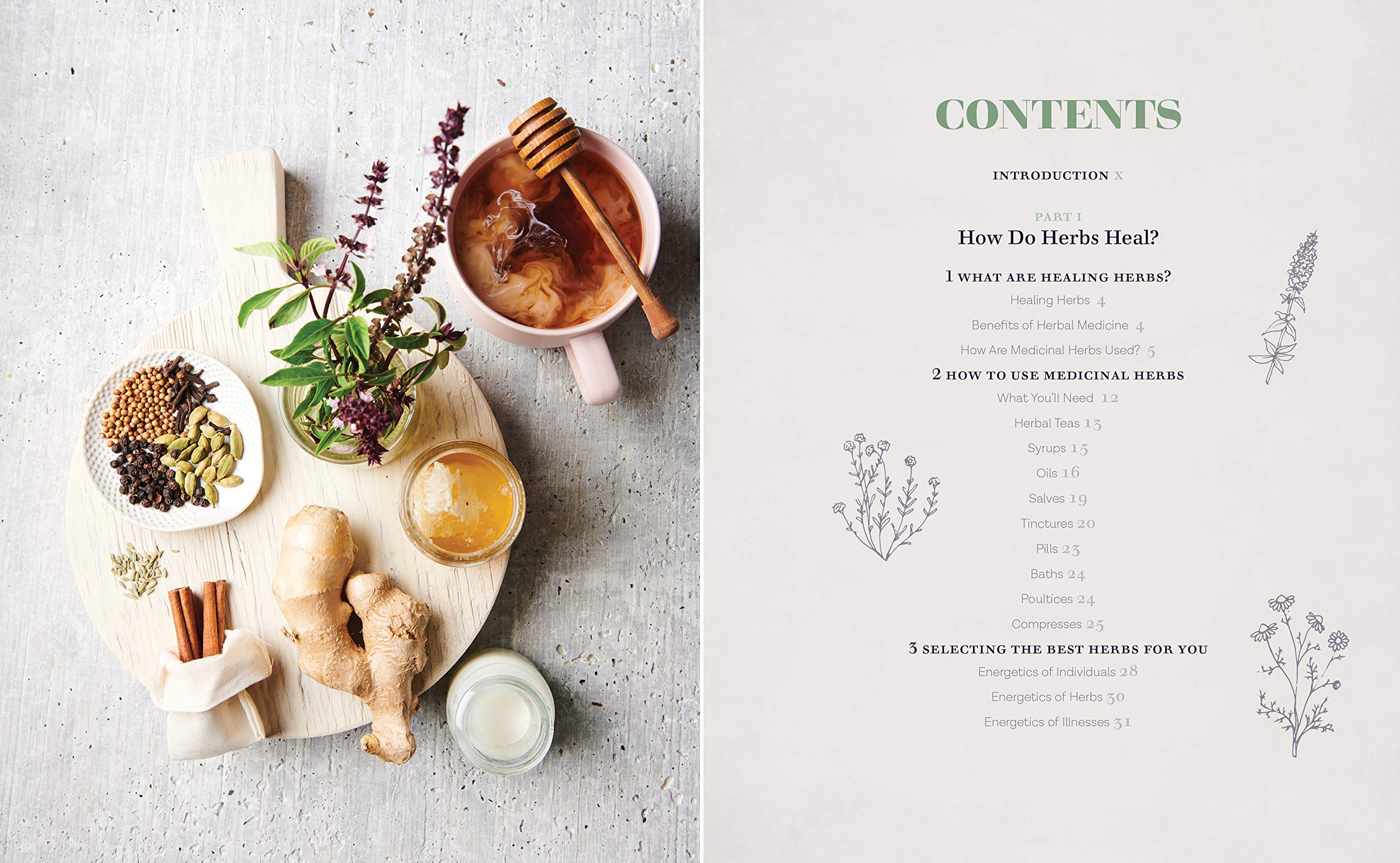 The Healing Power of Herbs: Medicinal Herbs for Common Ailments,Used