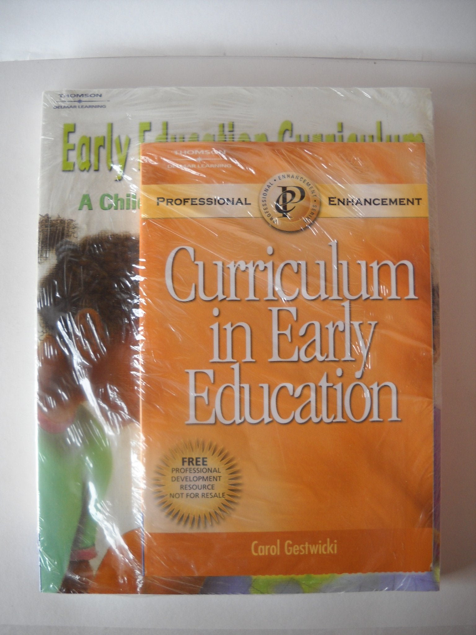 Early Education Curriculum: A Childs Connection to the World (Whats New in Early Childhood),Used