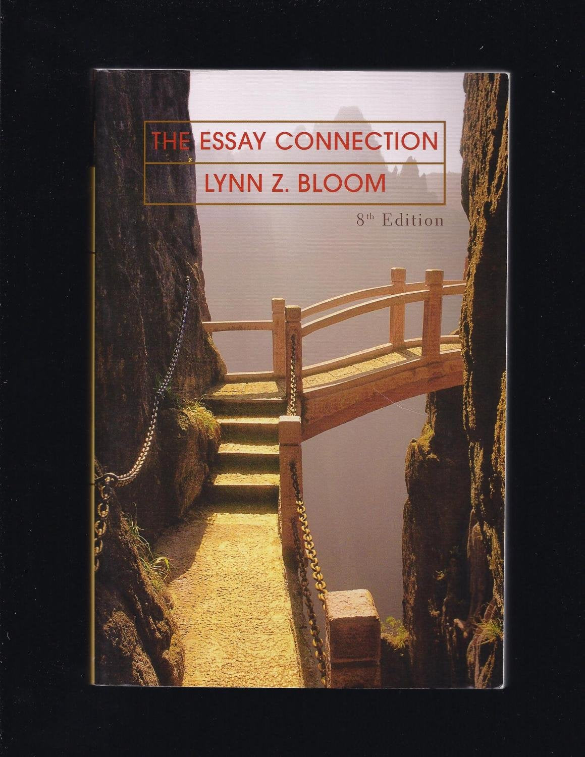 The Essay Connection,Used