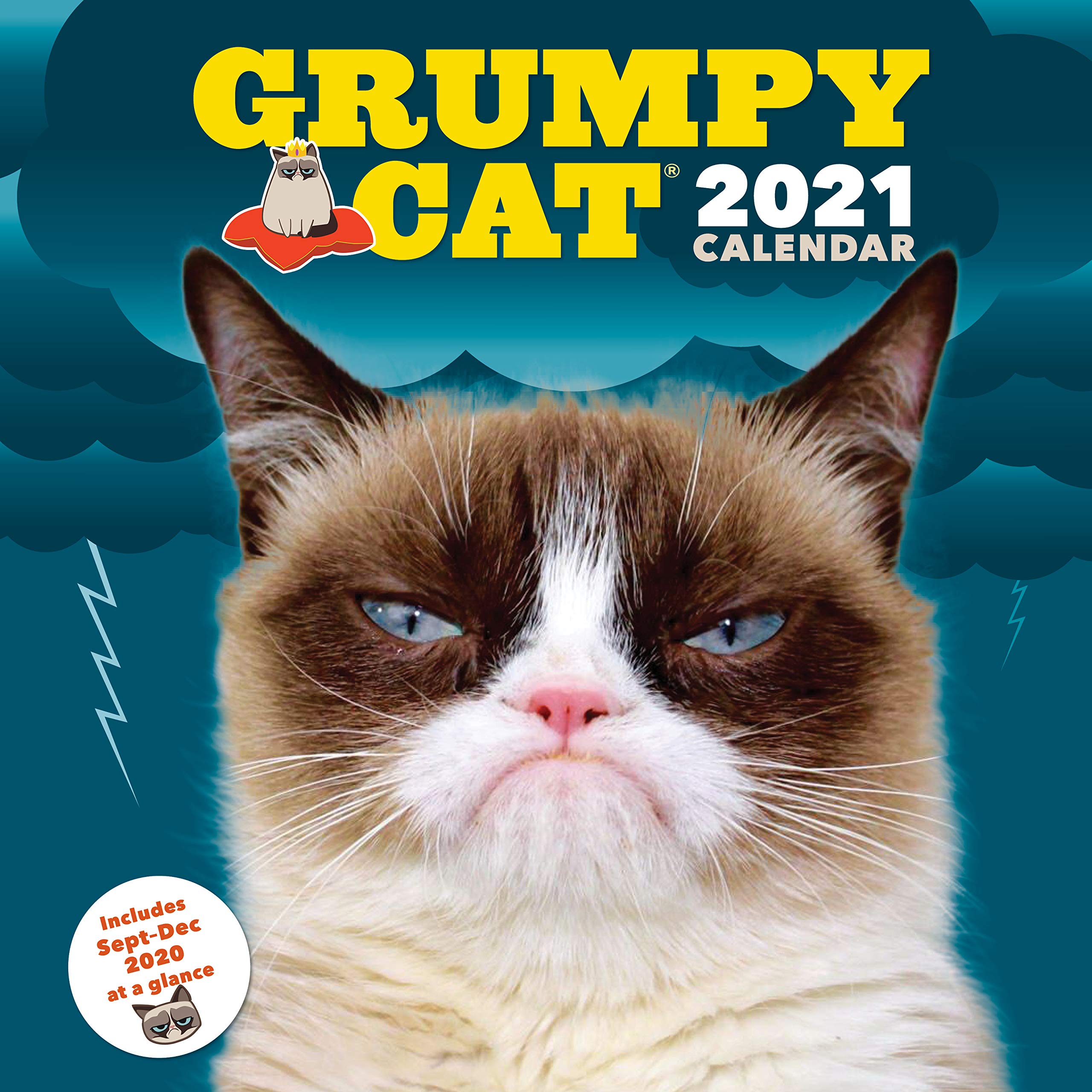Grumpy Cat 2021 Wall Calendar: (Cranky Kitty Monthly Calendar, Funny Internet Meme 12Month Calendar)
