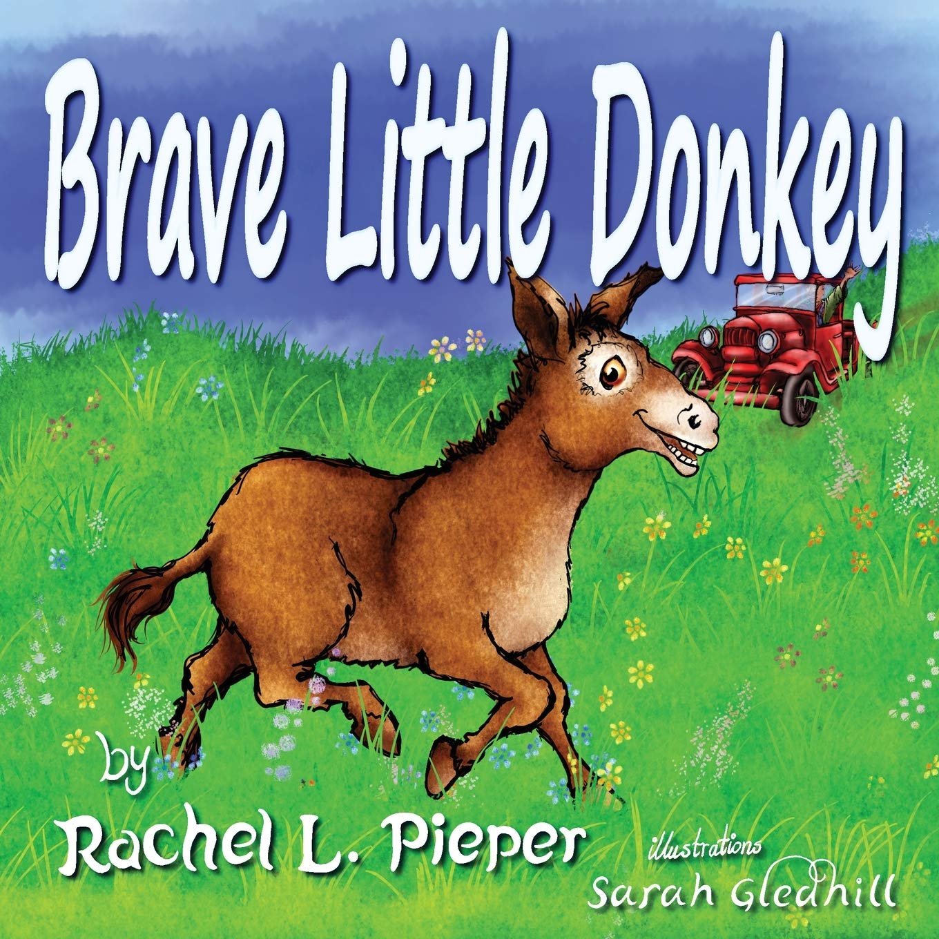 Brave Little Donkey,Used