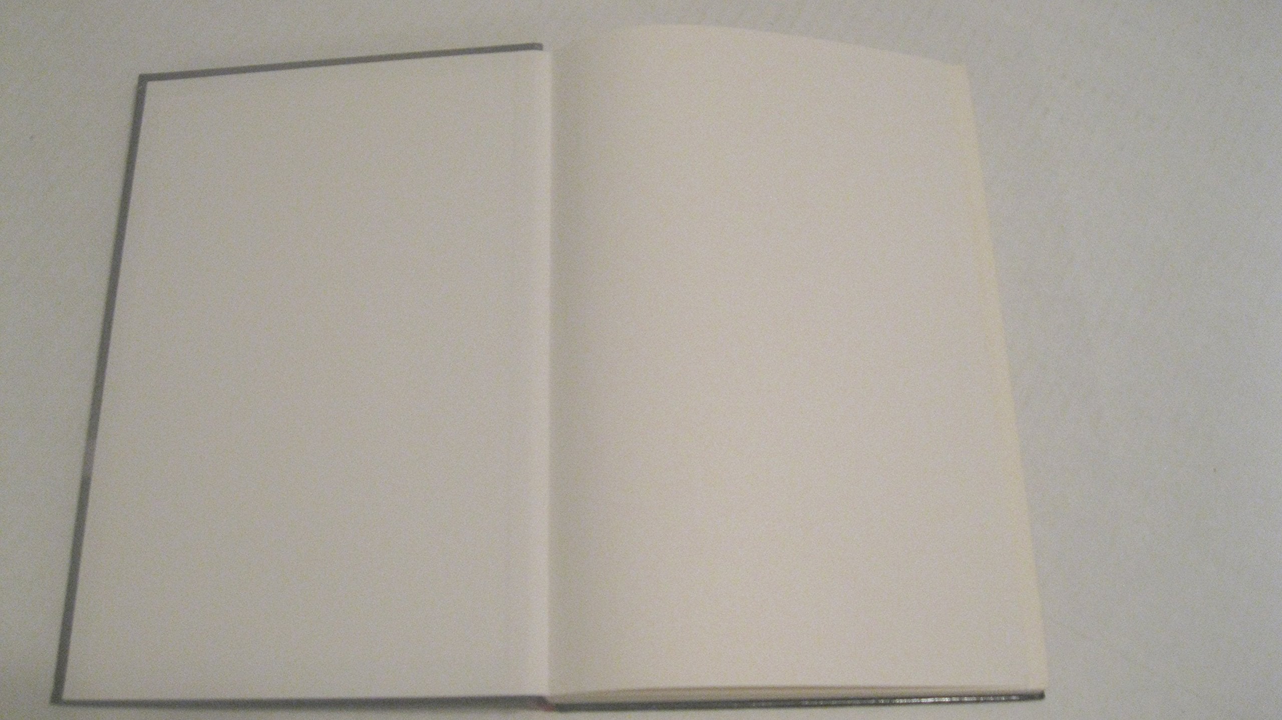 A History of Denmark,Used