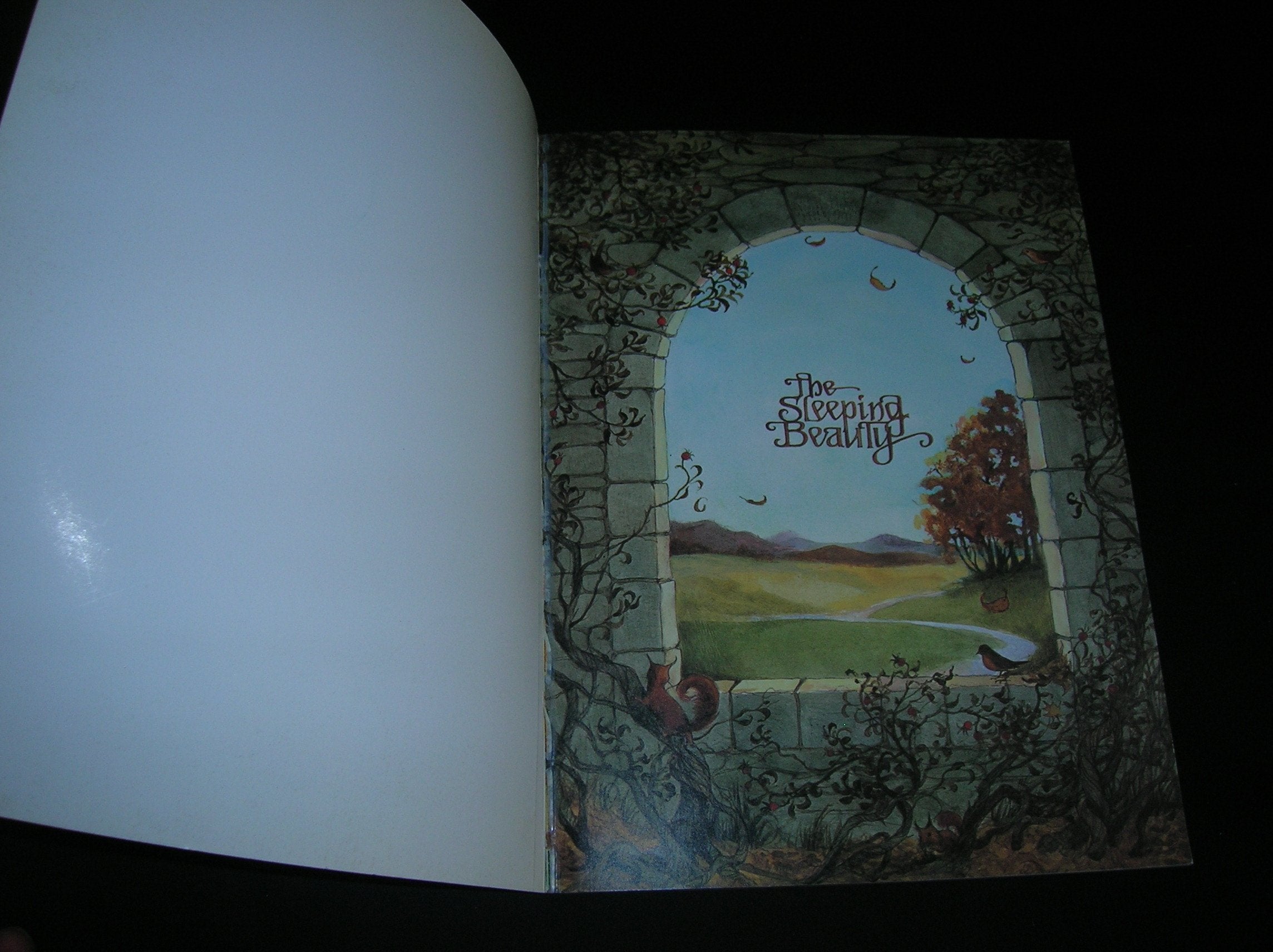The Sleeping Beauty: Silver Anniversary Edition,New