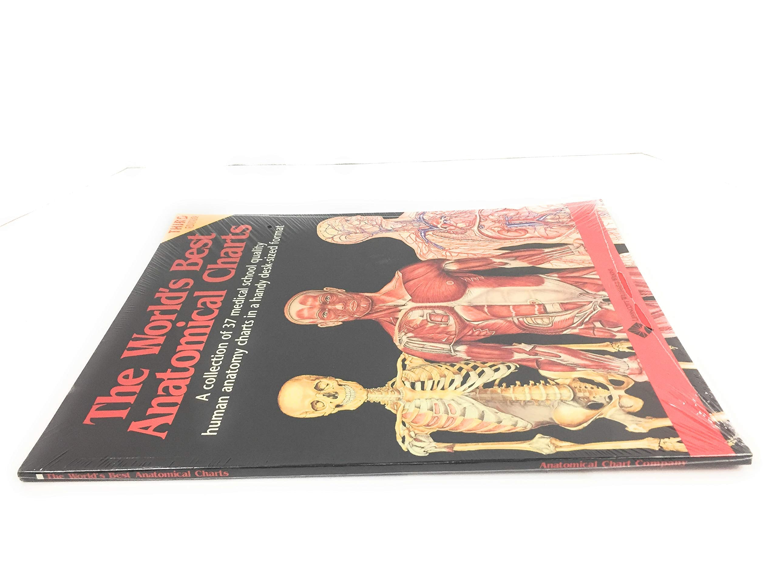 The World'S Best Anatomical Charts : A Collection Of 37 Medical School Quality Human Anatomy Charts In A Handy Desksized Format,Used