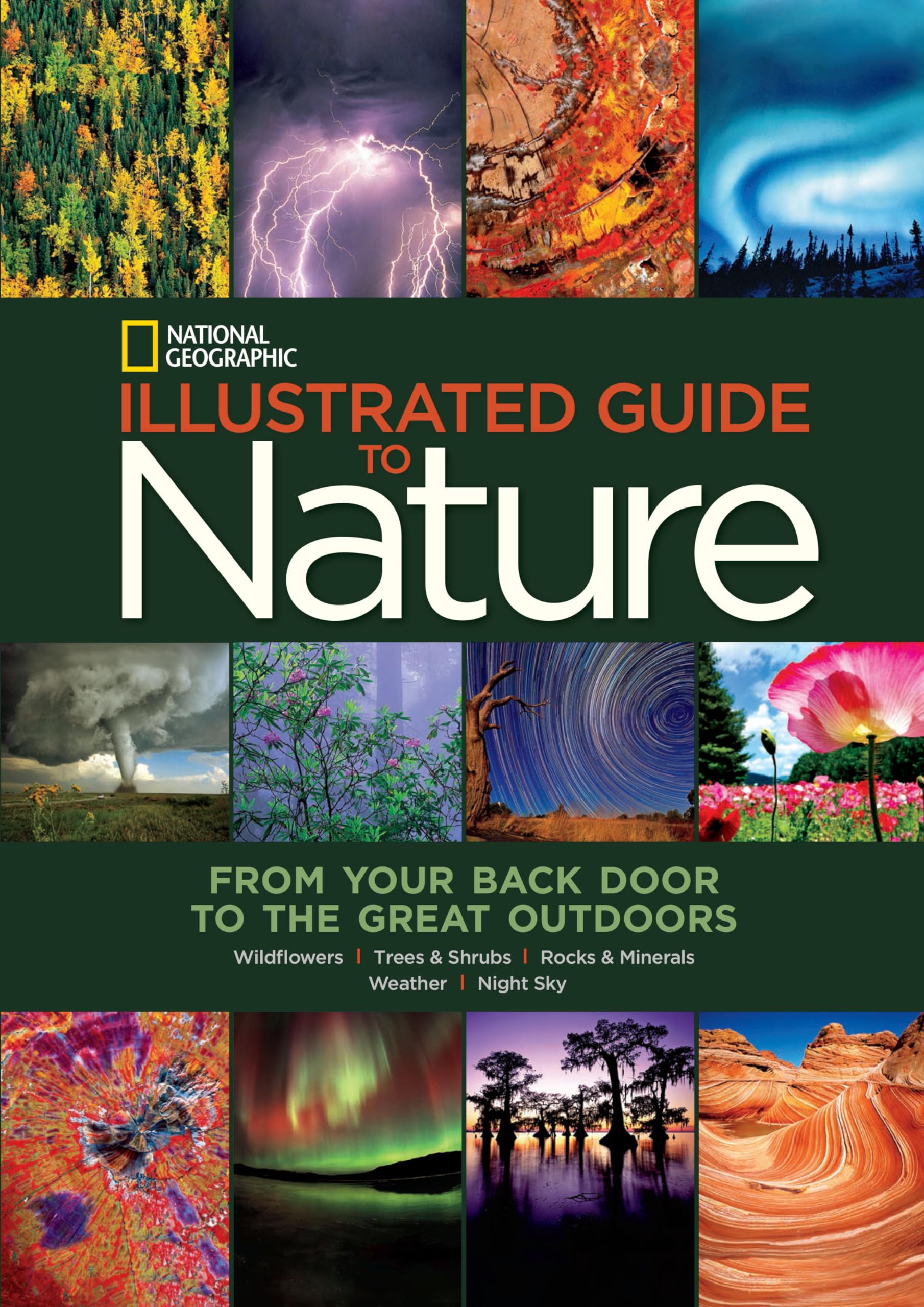 National Geographic Illustrated Guide to Nature: From Your Back Door to the Great Outdoors,Used