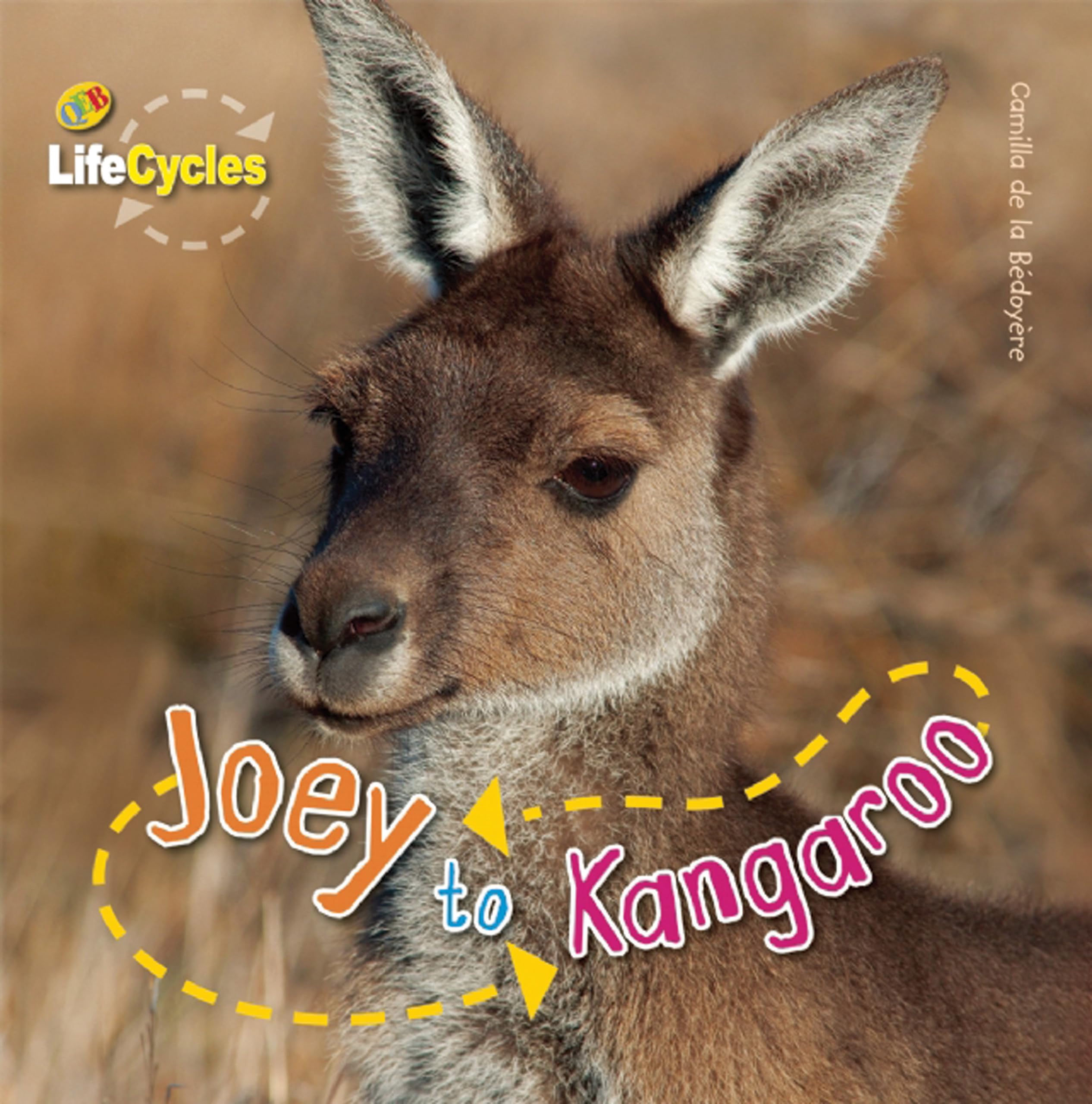 Joey to Kangaroo (LifeCycles),Used