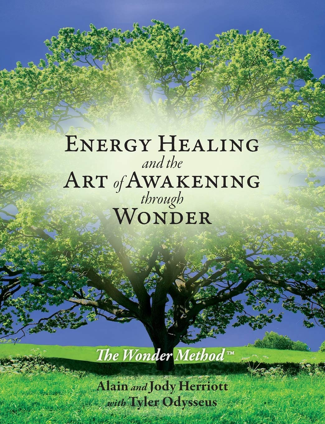 Energy Healing and The Art of Awakening Through Wonder,Used