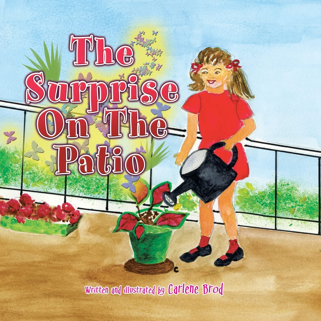 The Surprise On The Patio,Used
