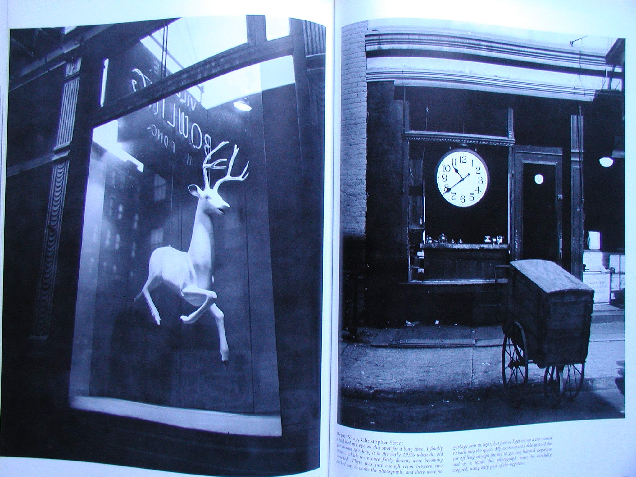 Berenice Abbott: American Photographer,New