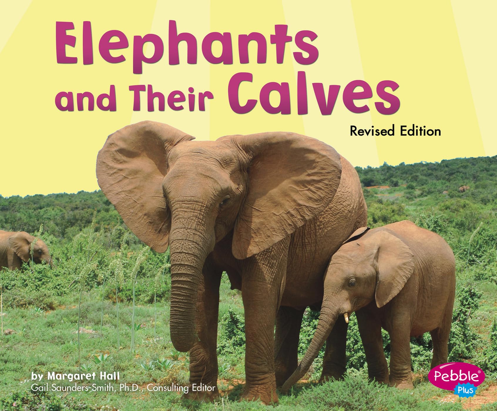 Elephants and Their Calves (Animal Offspring),Used