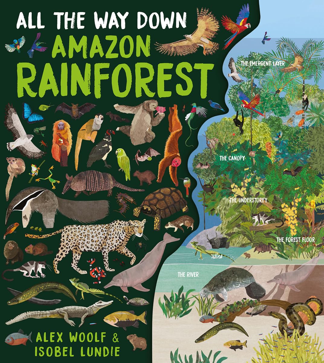 All the Way Down: Amazon Rainforest,Used