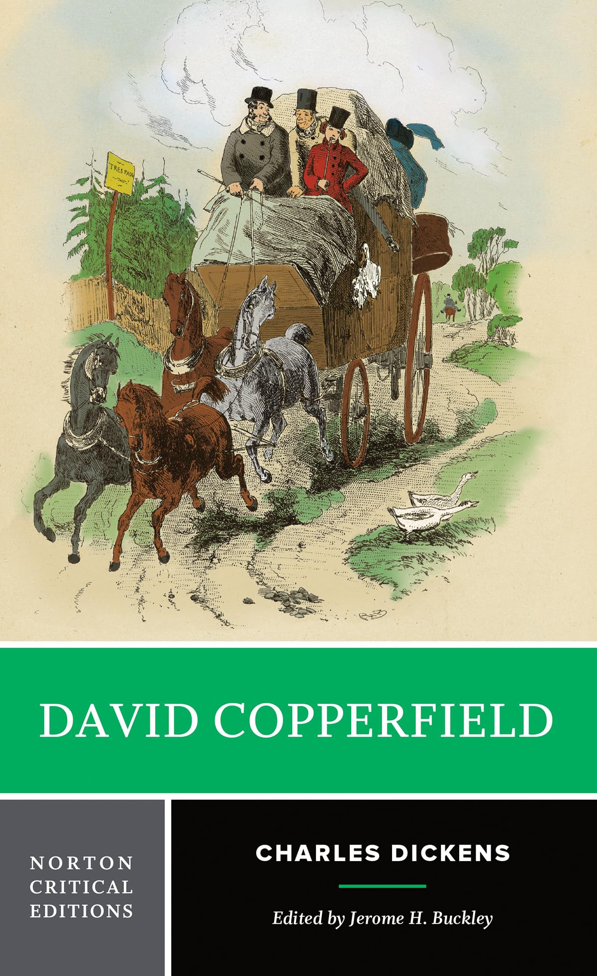 David Copperfield (First Edition) (Norton Critical Editions) (Cover may vary),Used