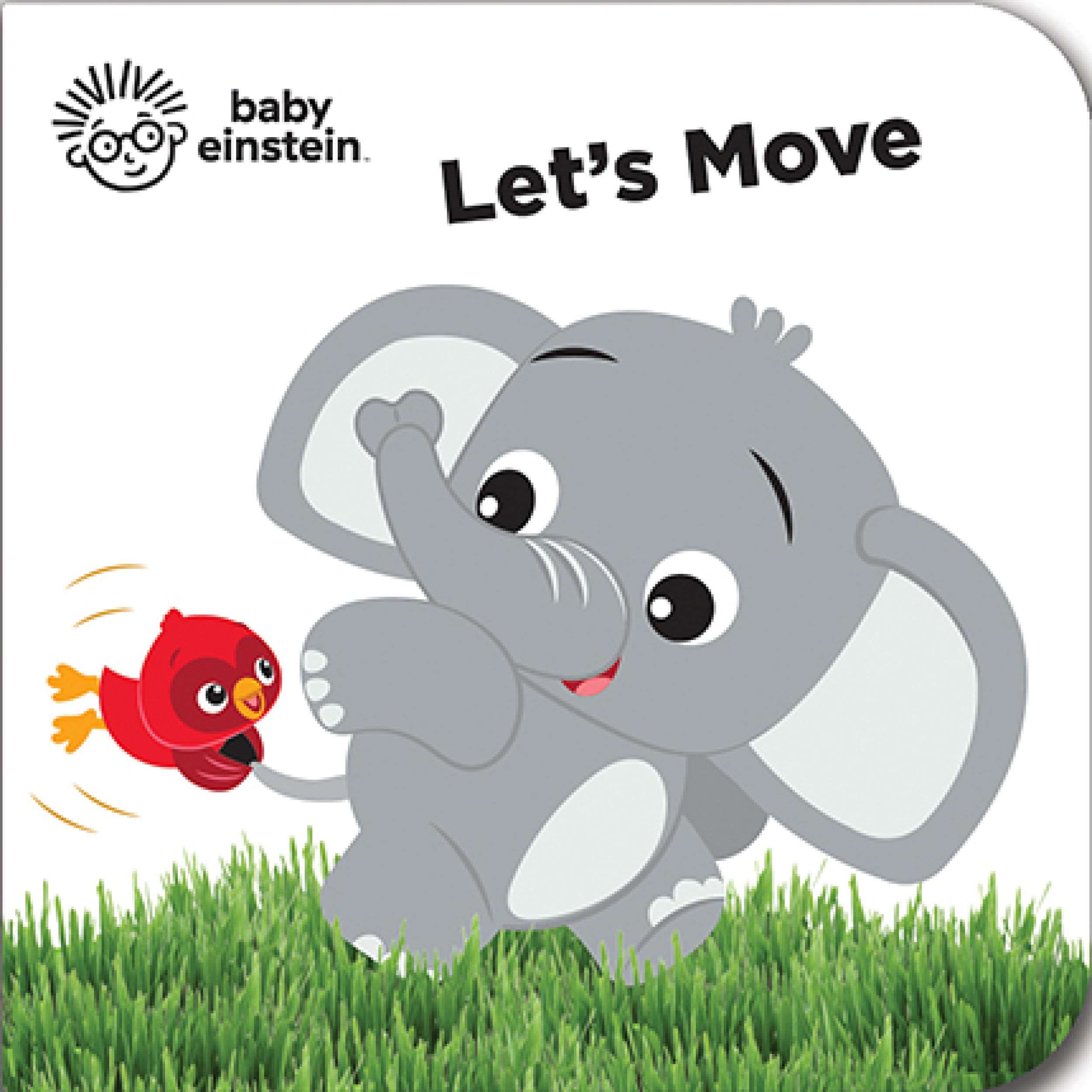 Baby Einstein  My First Library Board Book Block 12Book Set  First Words, Alphabet, Numbers, and More!  PI Kids,Used