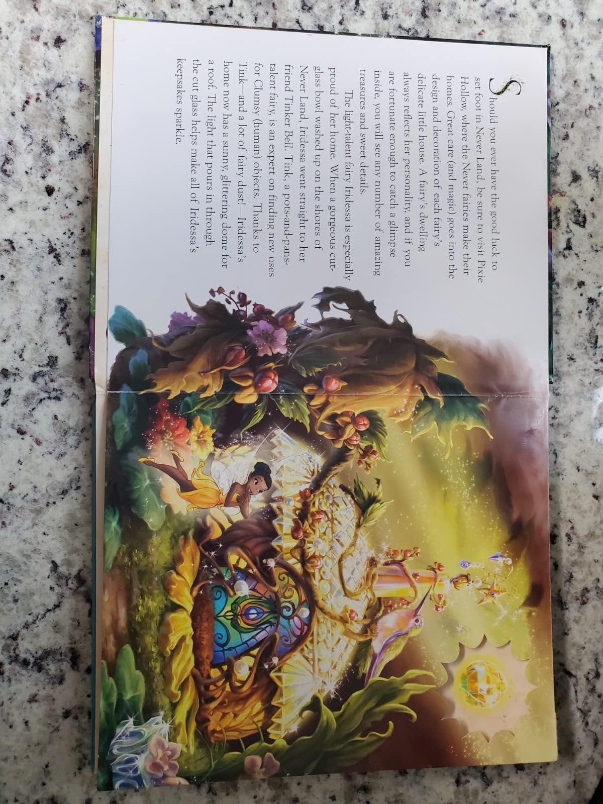A Visit With the Fairies,Used