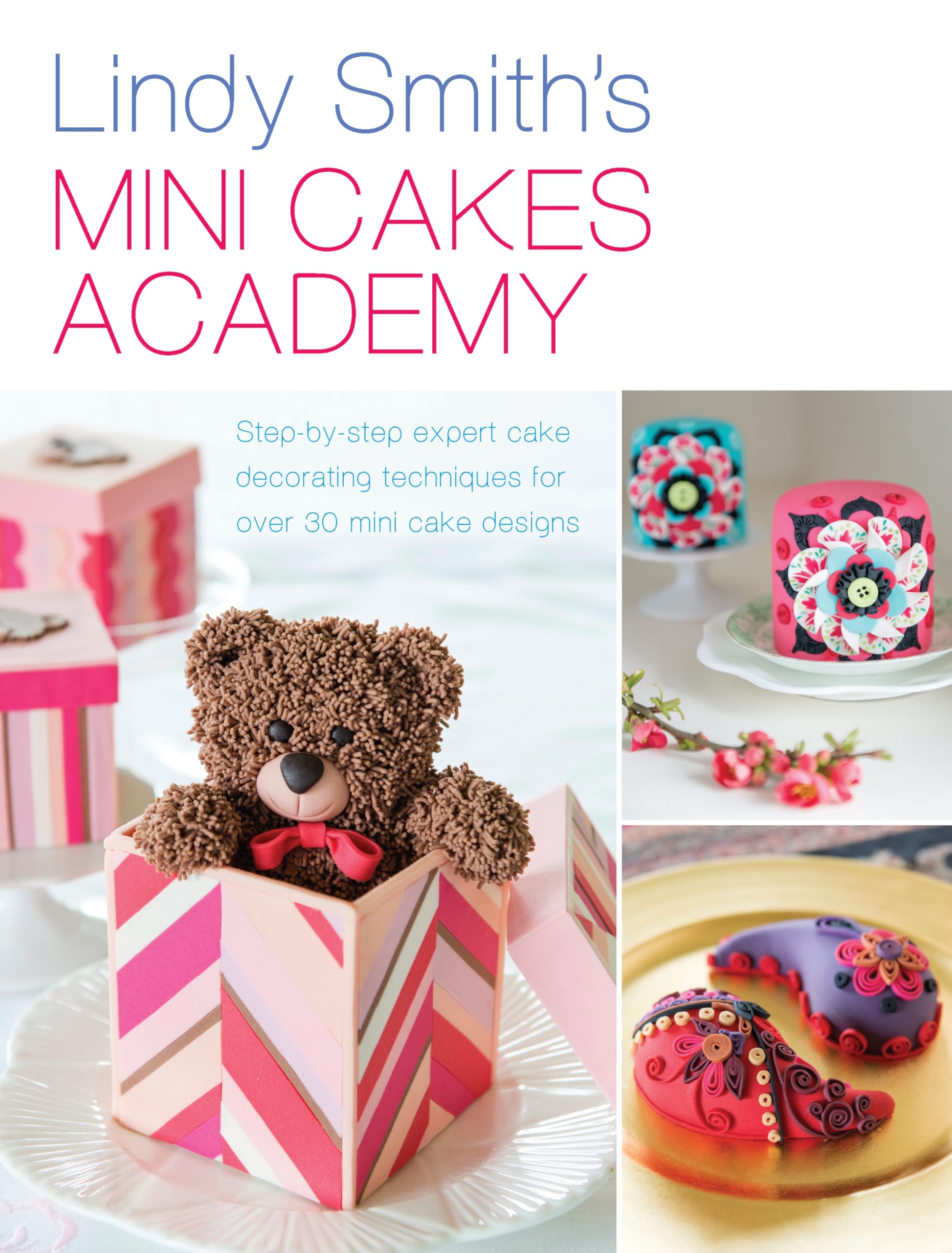 Mini Cakes Academy,Used