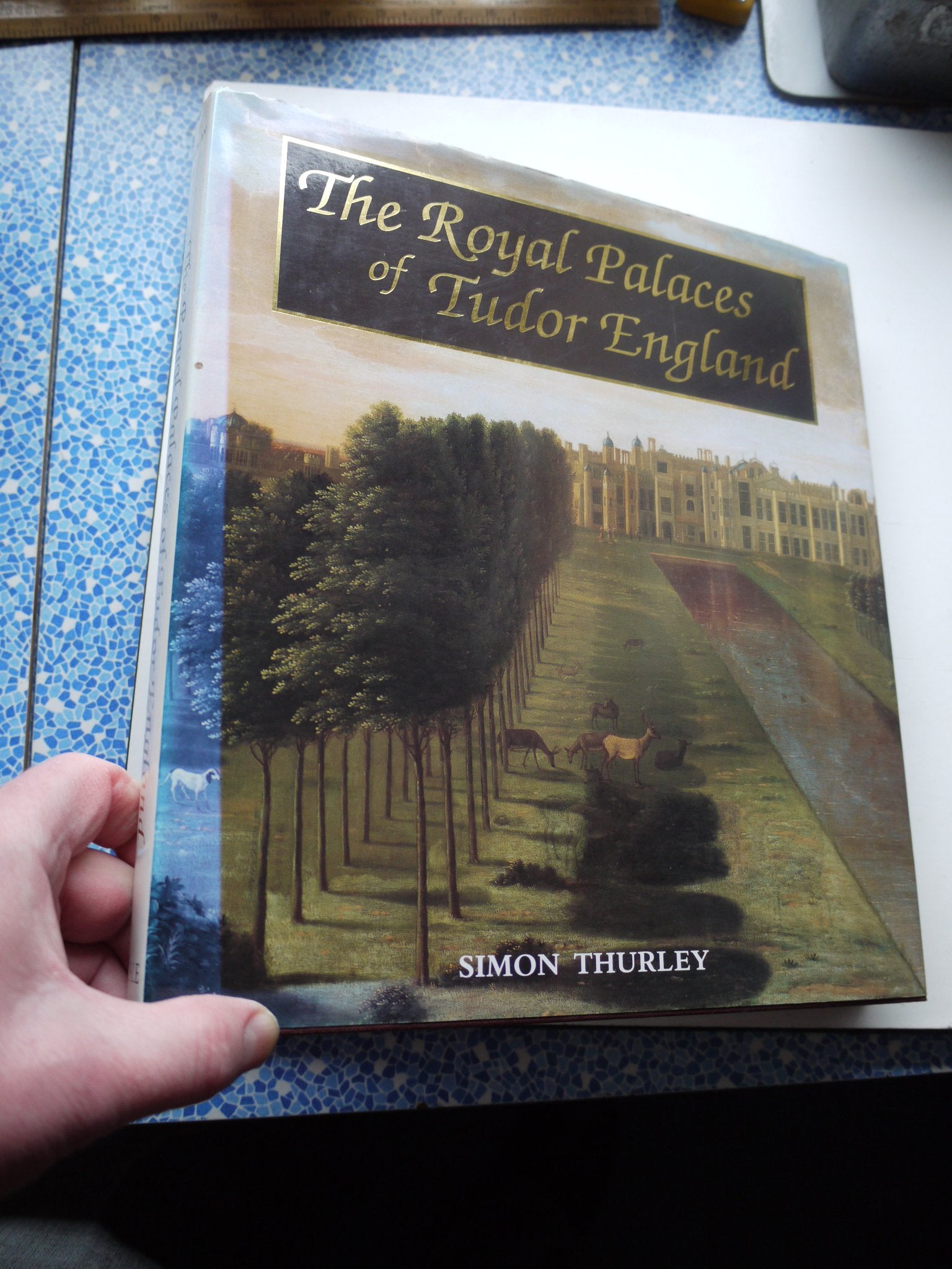 The Royal Palaces Of Tudor England: Architecture And Court Life, 14601547 (Paul Mellon Centre For Studies In Britis),Used