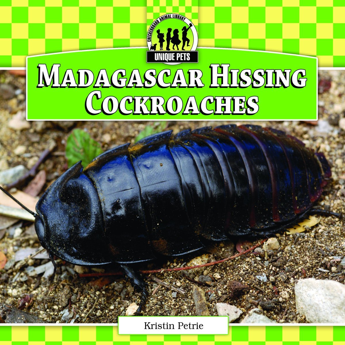 Madagascar Hissing Cockroaches (Unique Pets),Used