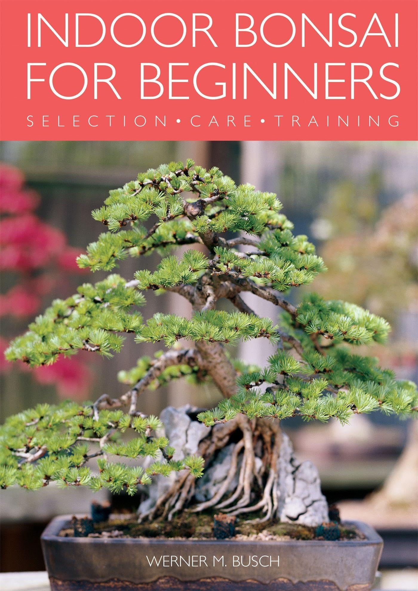 Indoor Bonsai for Beginners: Selection Care Training,Used