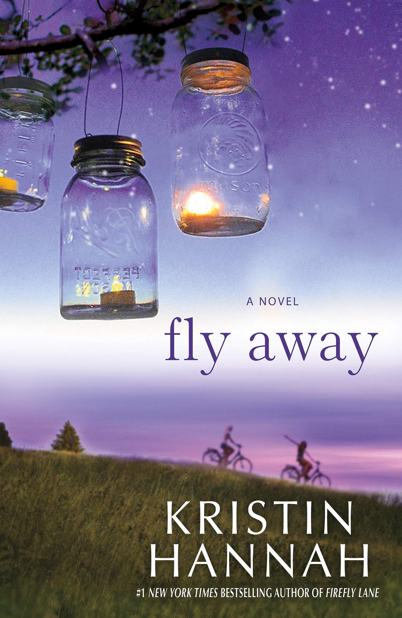 Fly Away: A Novel,Used