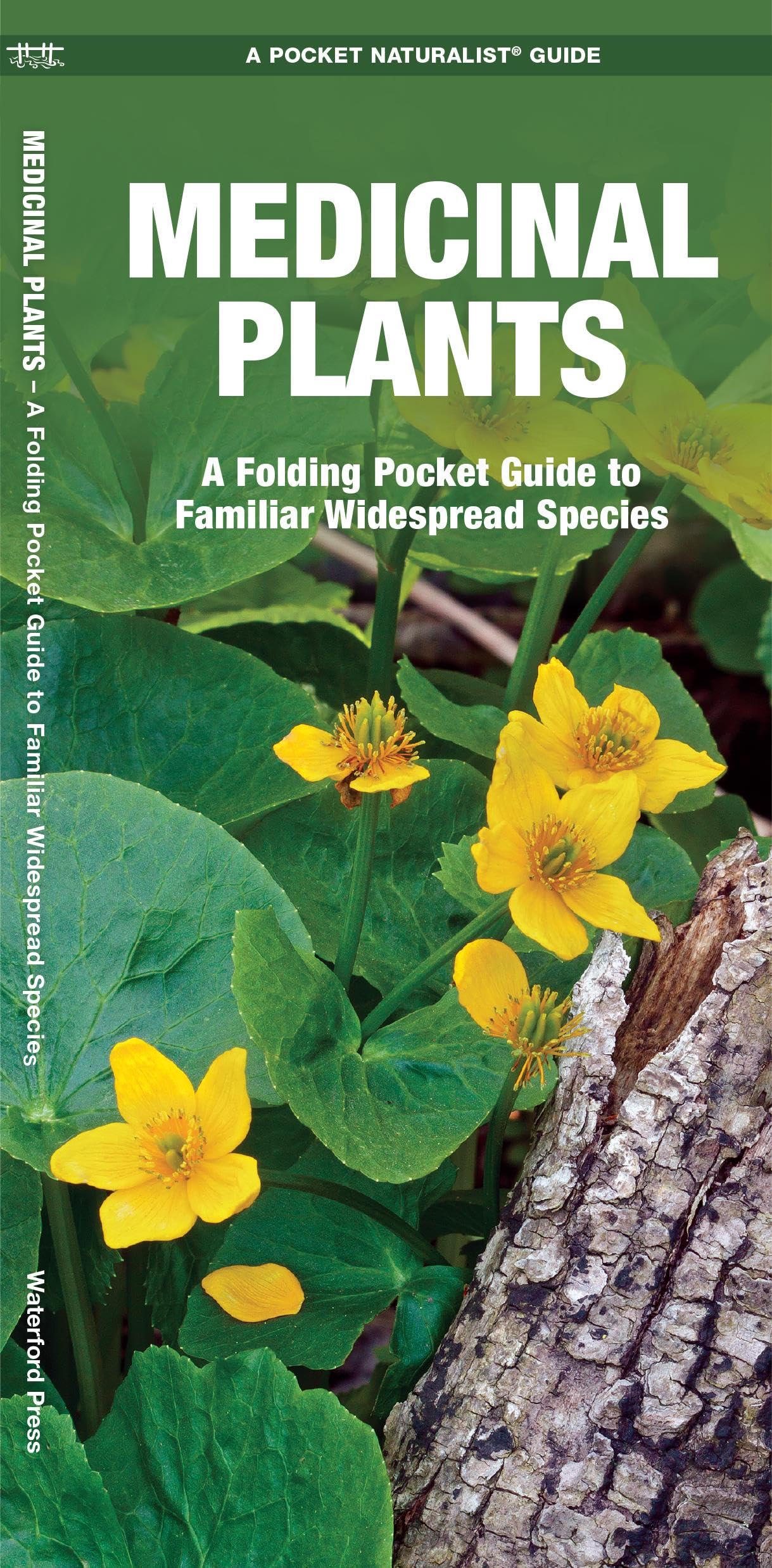 Medicinal Plants: A Folding Pocket Guide to Familiar Widespread Species (Nature Observation North America),Used