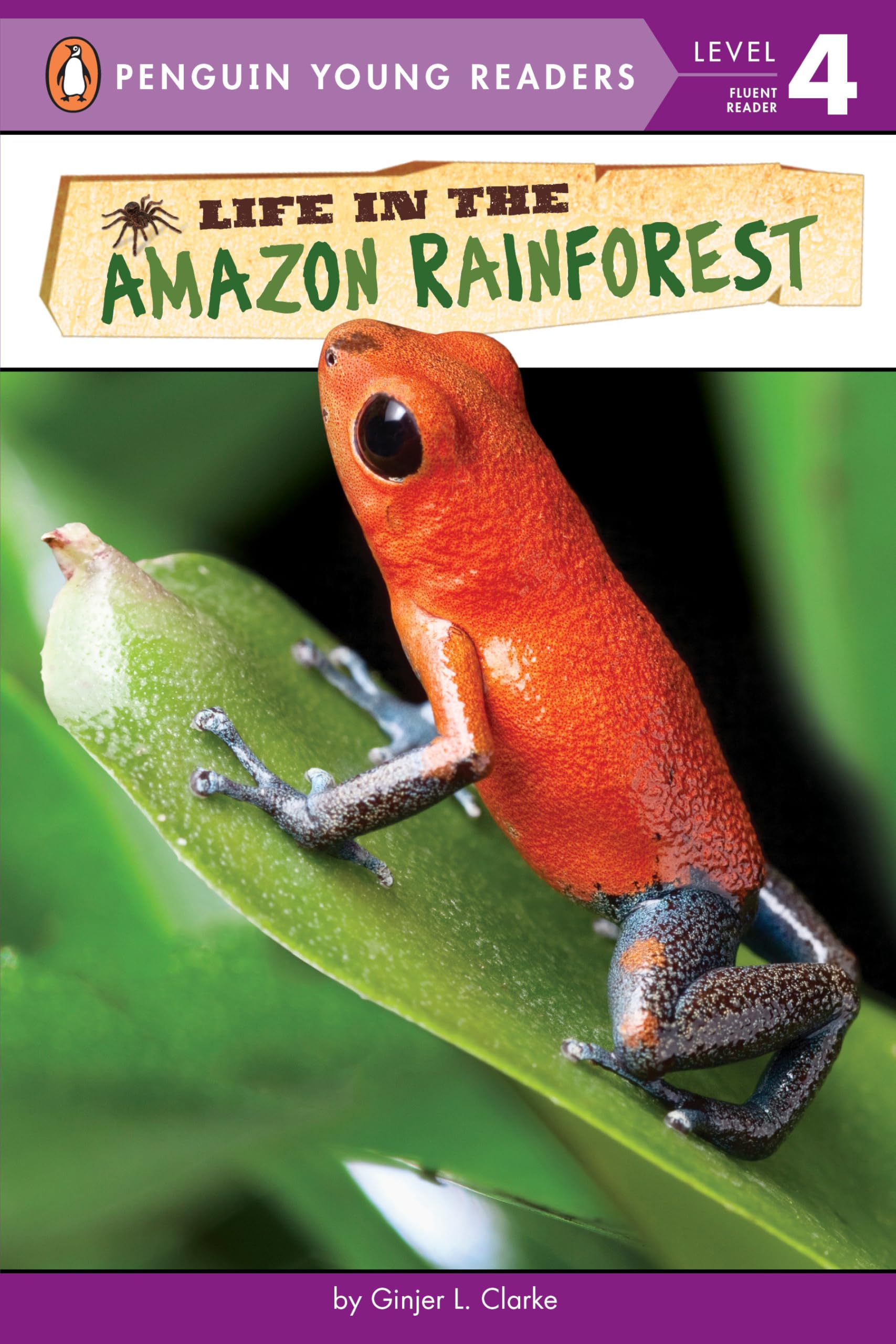 Life in the Amazon Rainforest (Penguin Young Readers, Level 4),Used